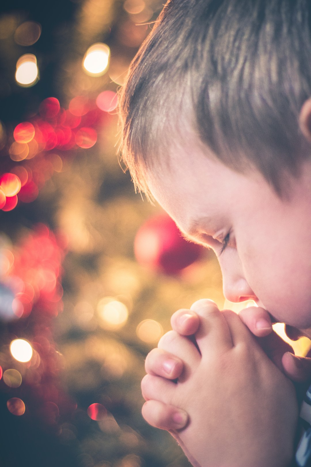 A little boy praying in front of a Christmas tree.