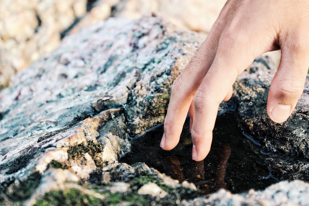 person touching water