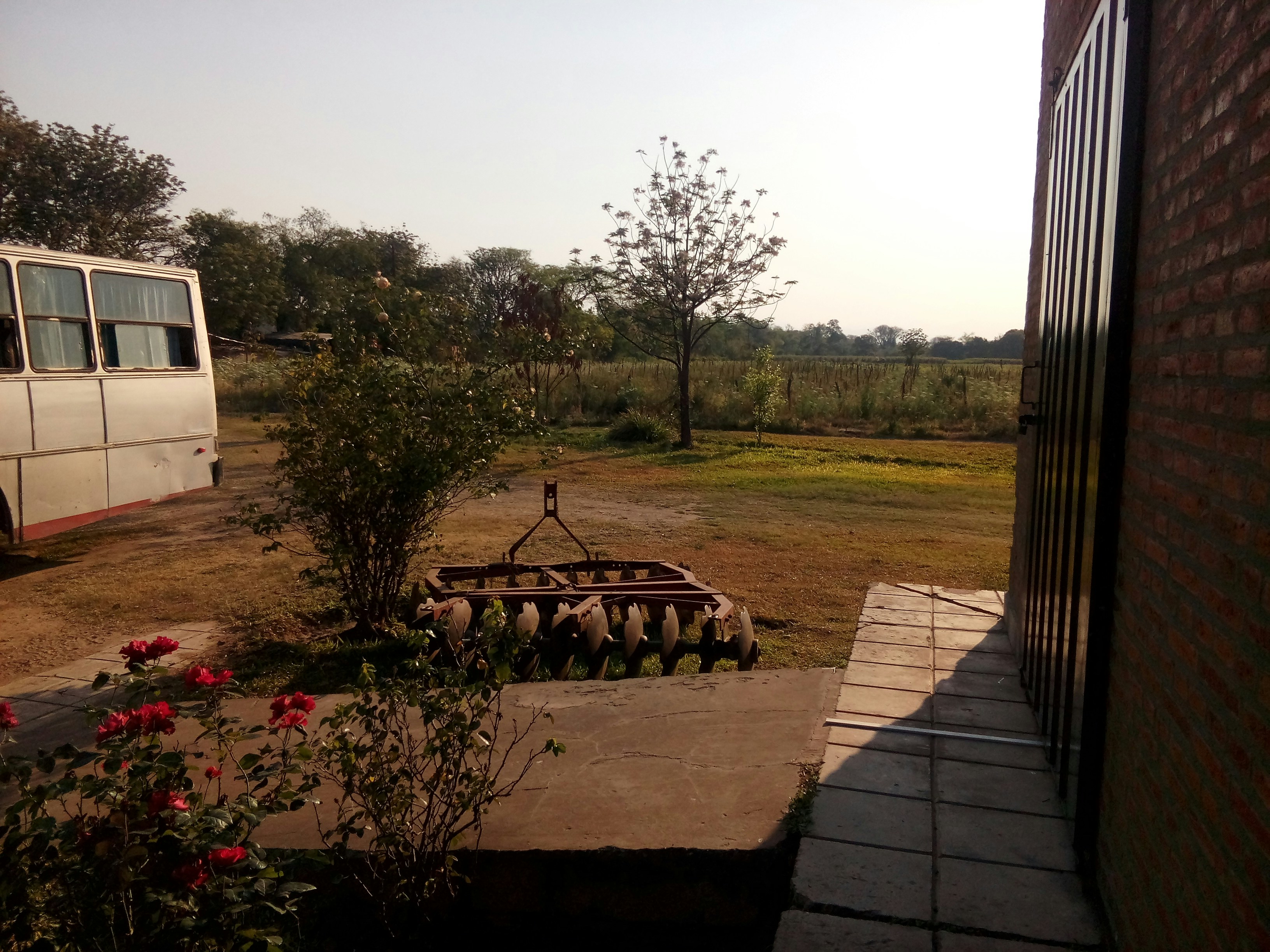 Free Unsplash photo from Raul Perez