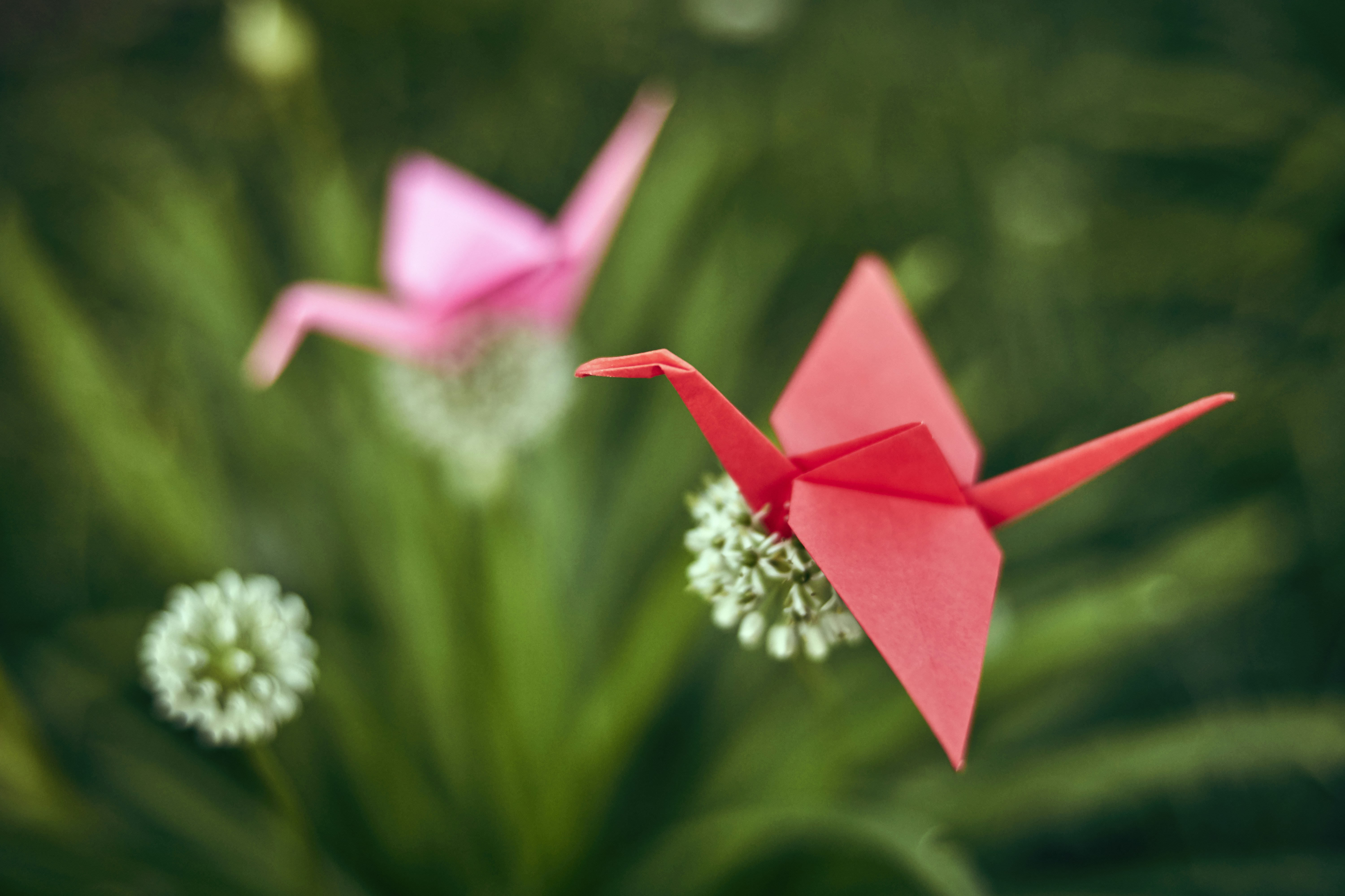 Free Unsplash photo from Dmitry Dreyer