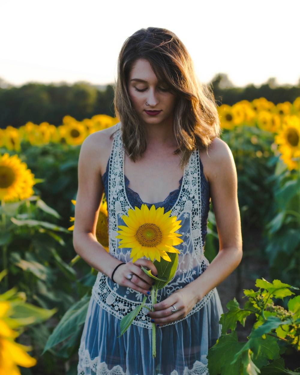 Frau steht auf Sonnenblumenfeld