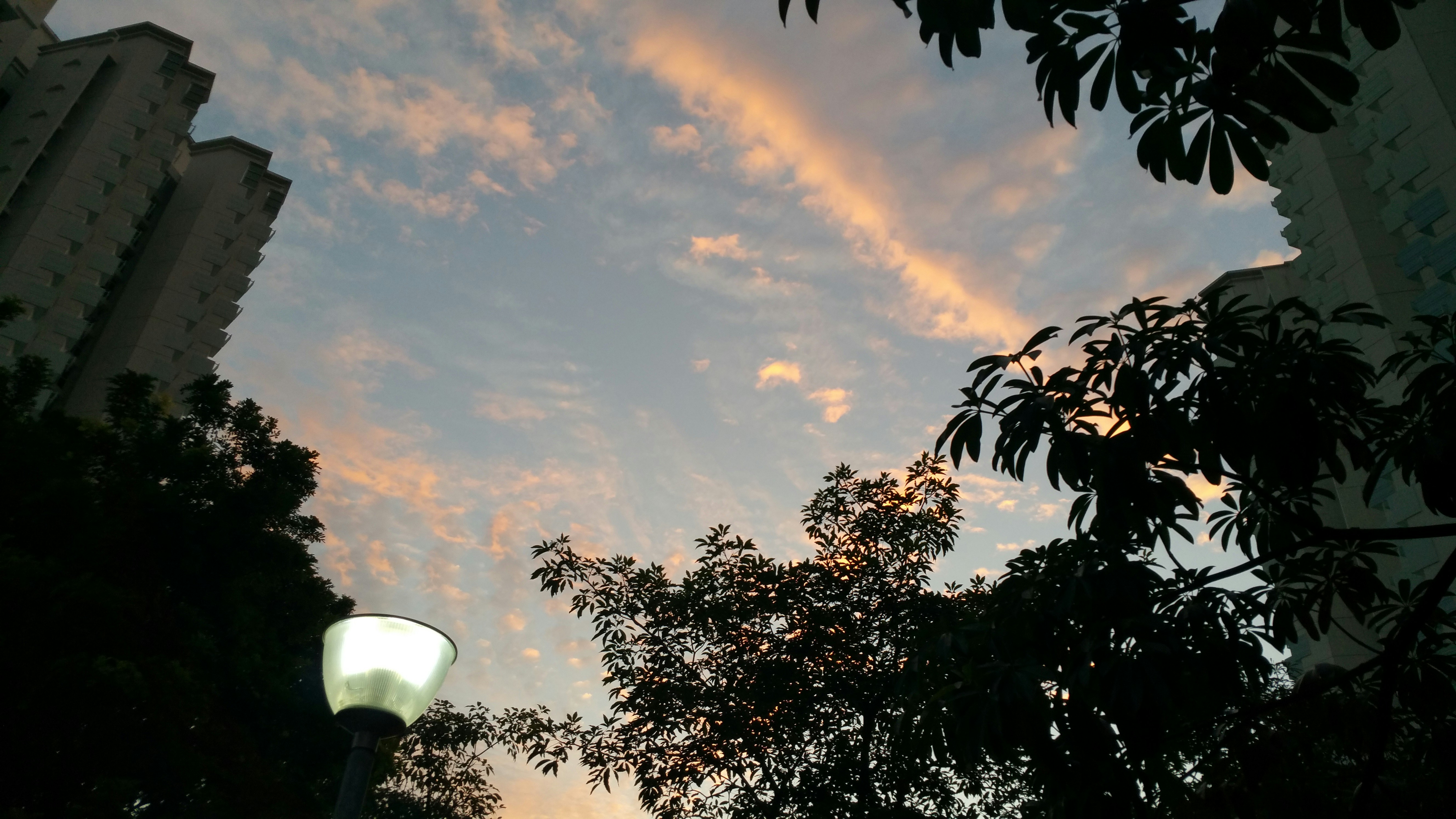 Free Unsplash photo from Junhong Chen