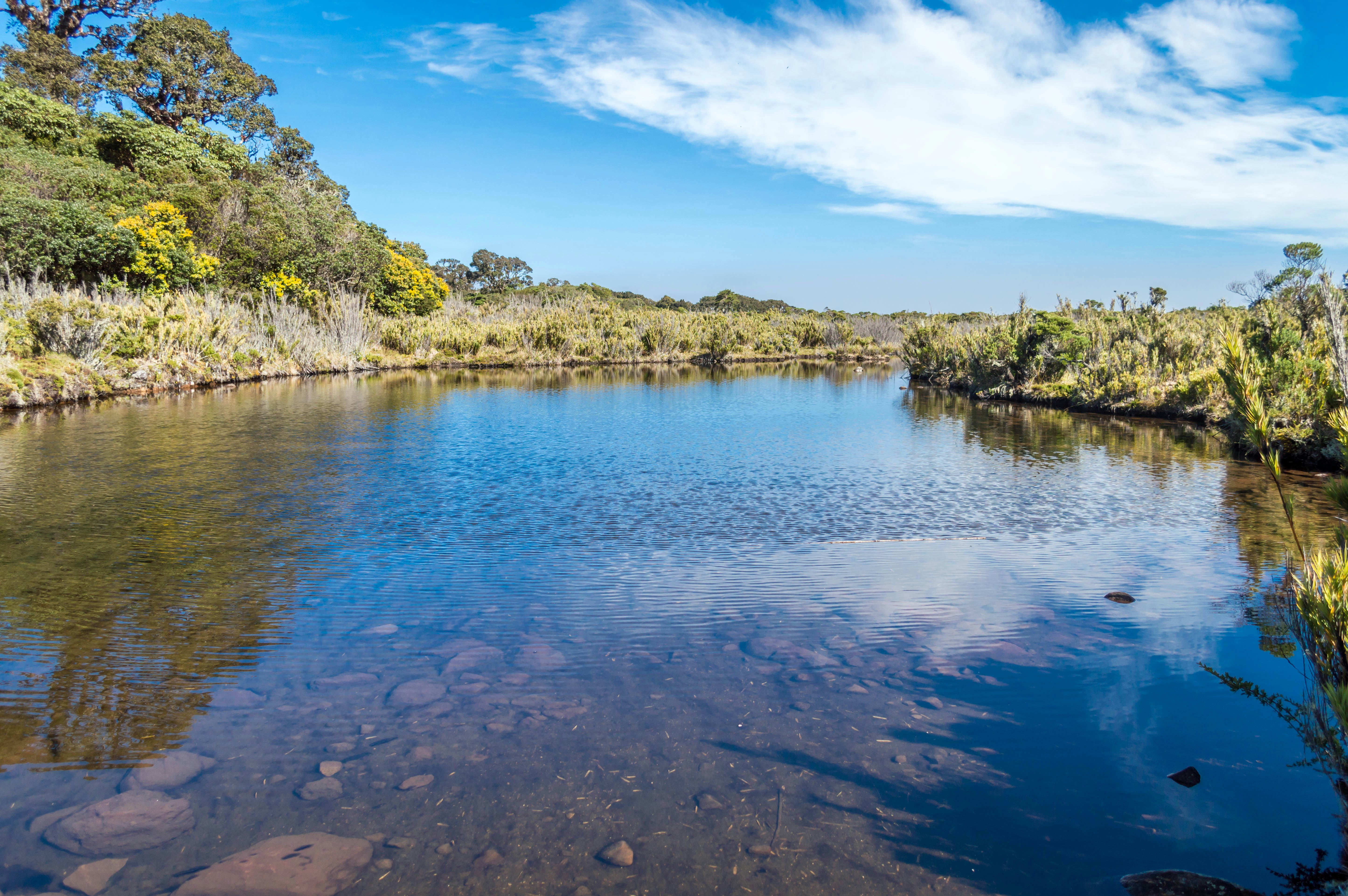 Free Unsplash photo from Faruq Ameer