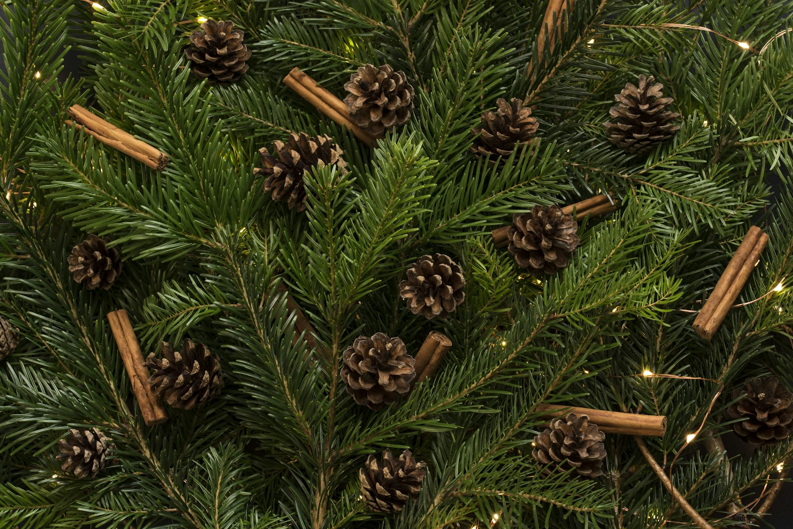 Nikon D750 + Sigma 105mm F2.8 EX DG OS HSM sample photo. Brown pine cones in photography