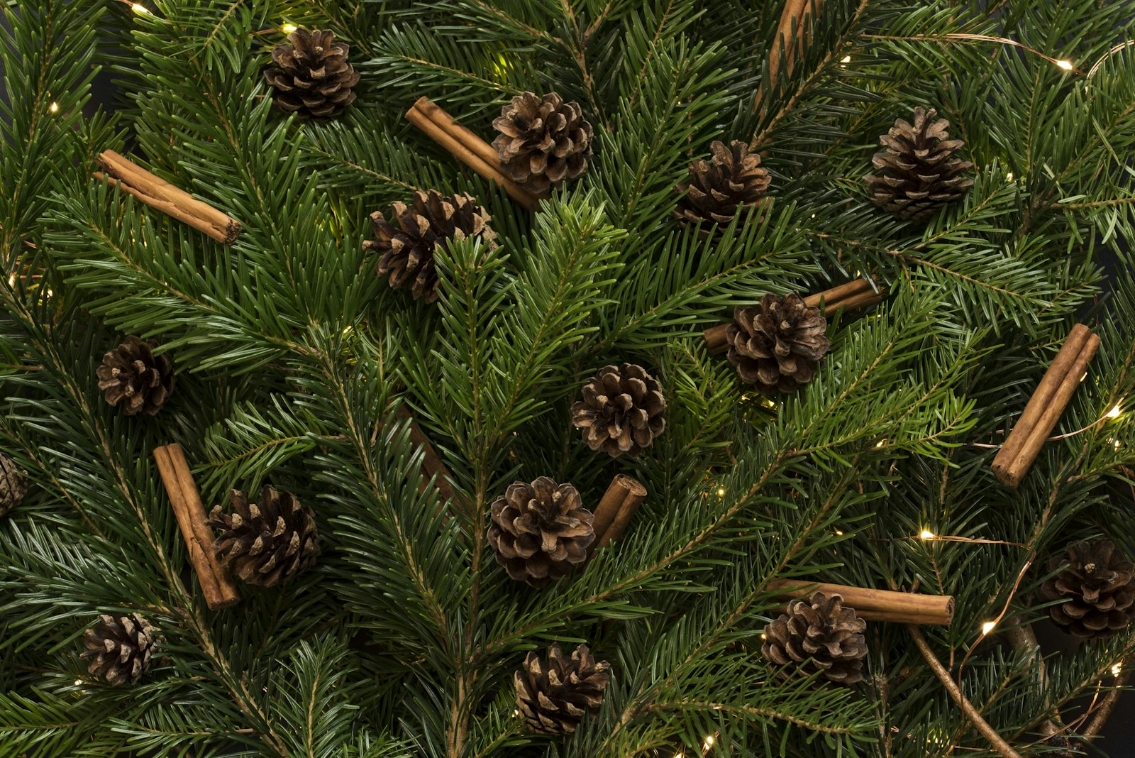 Sigma 105mm F2.8 EX DG OS HSM sample photo. Brown pine cones in photography