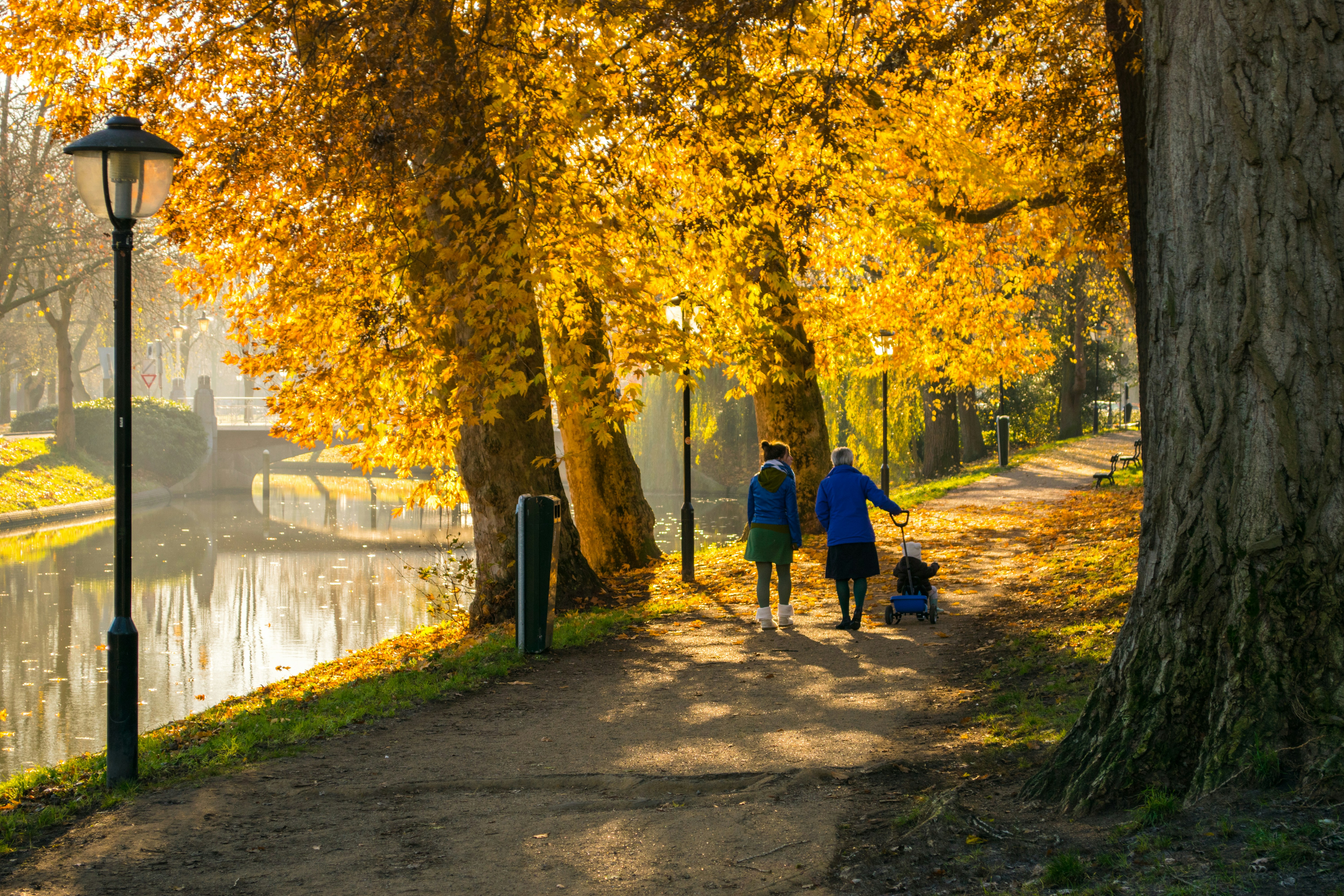 Free Unsplash photo from Donald Pool