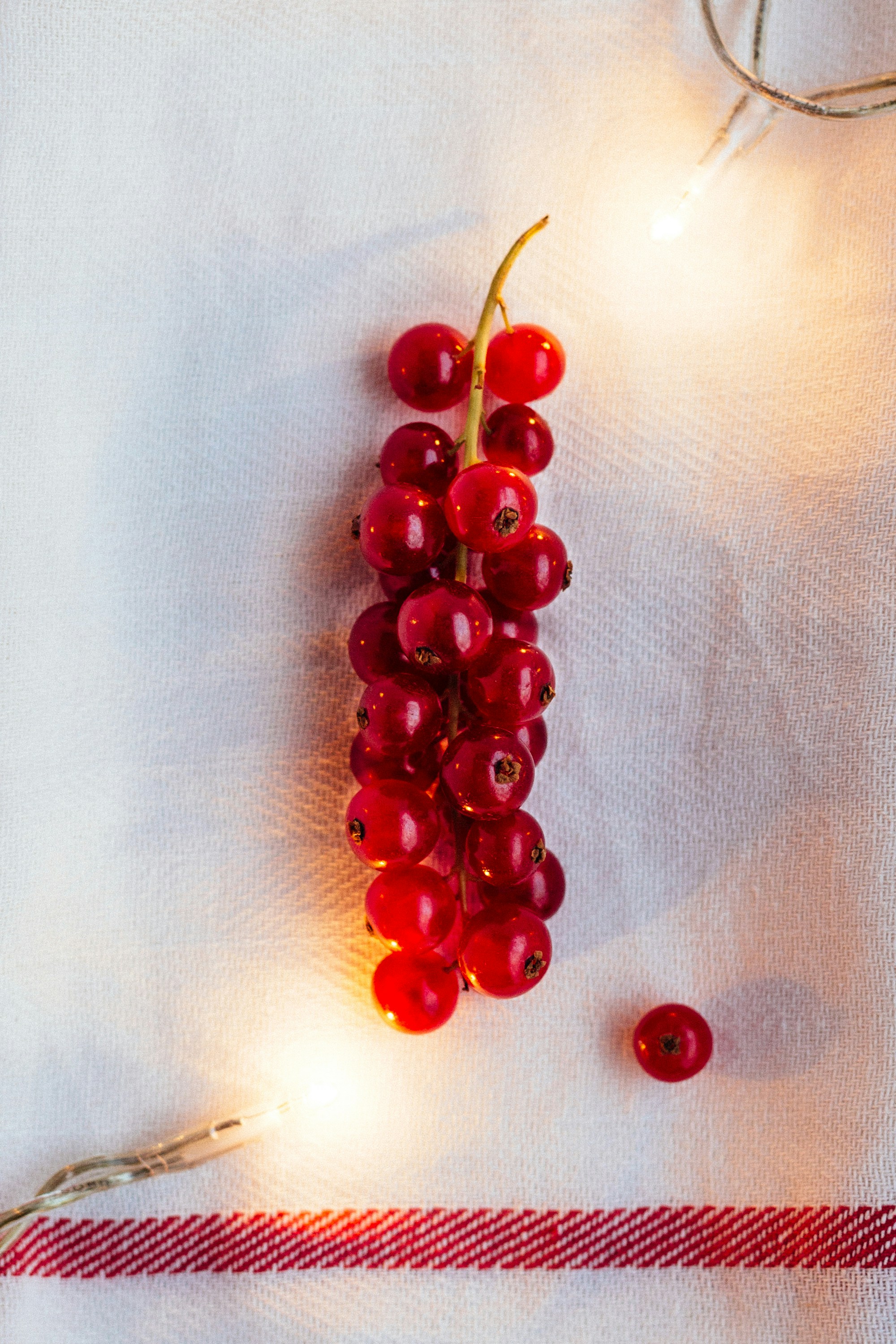 Free Unsplash photo from Cala