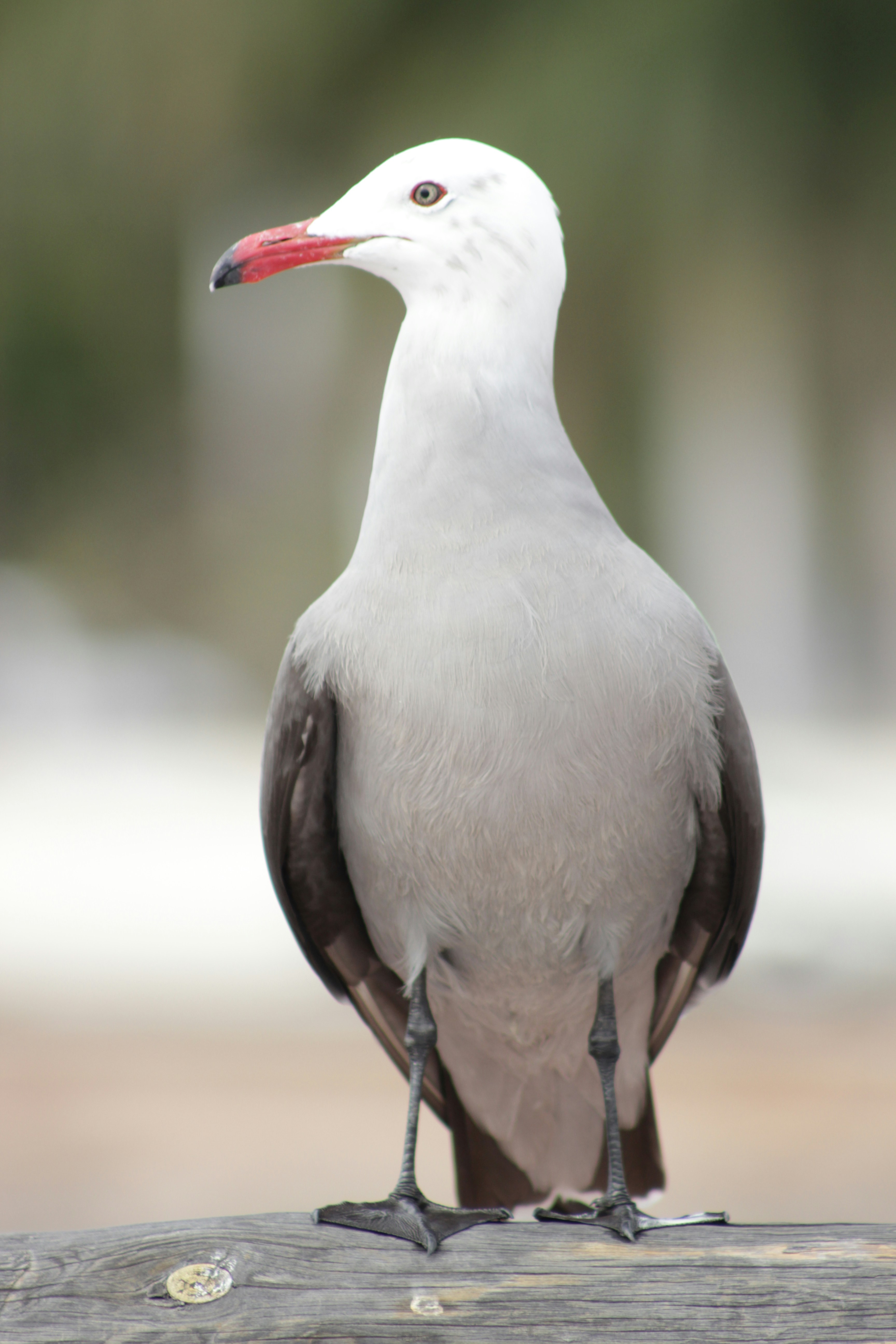 Free Unsplash photo from Zotk Onix