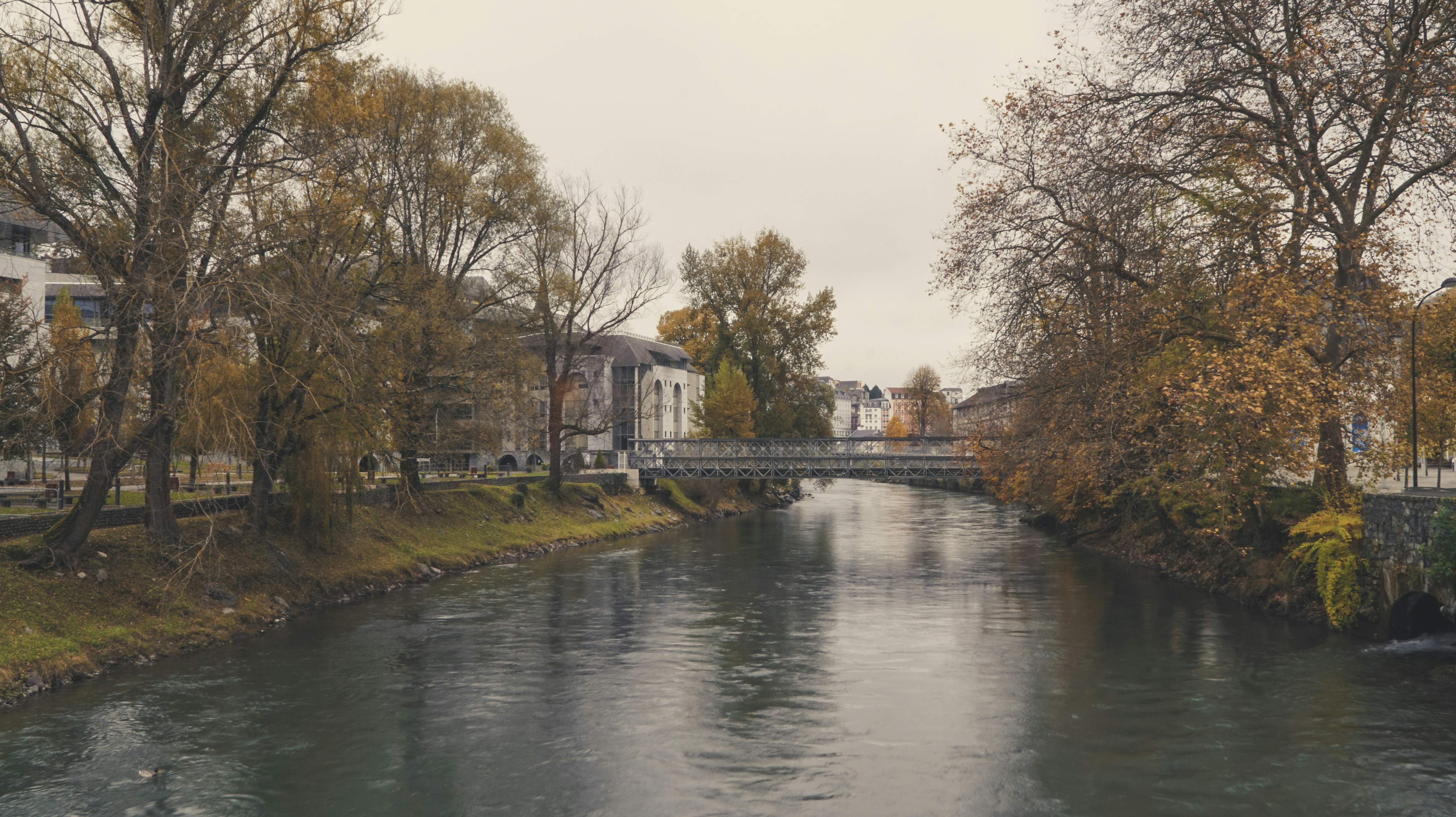 Free Unsplash photo from Dimitrij Agal