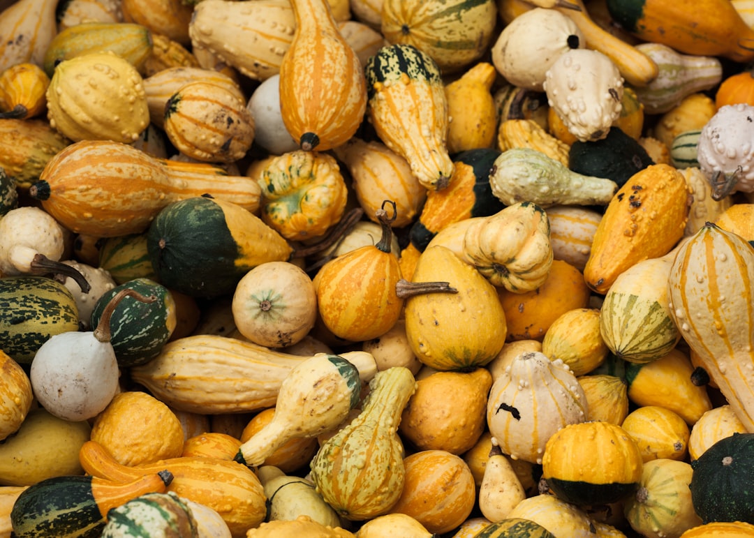 assorted-color gourds