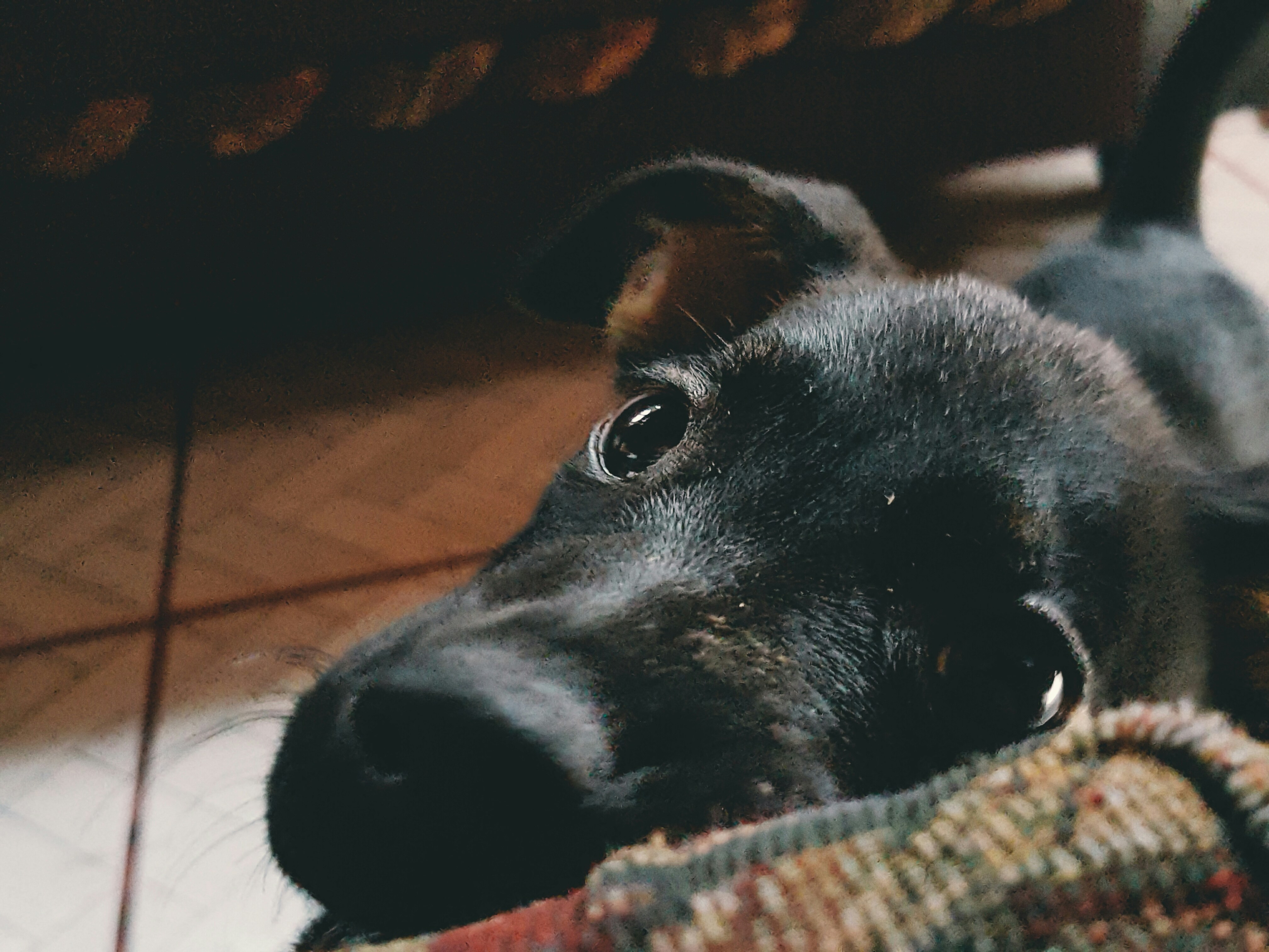 Free Unsplash photo from Renato Marroquín