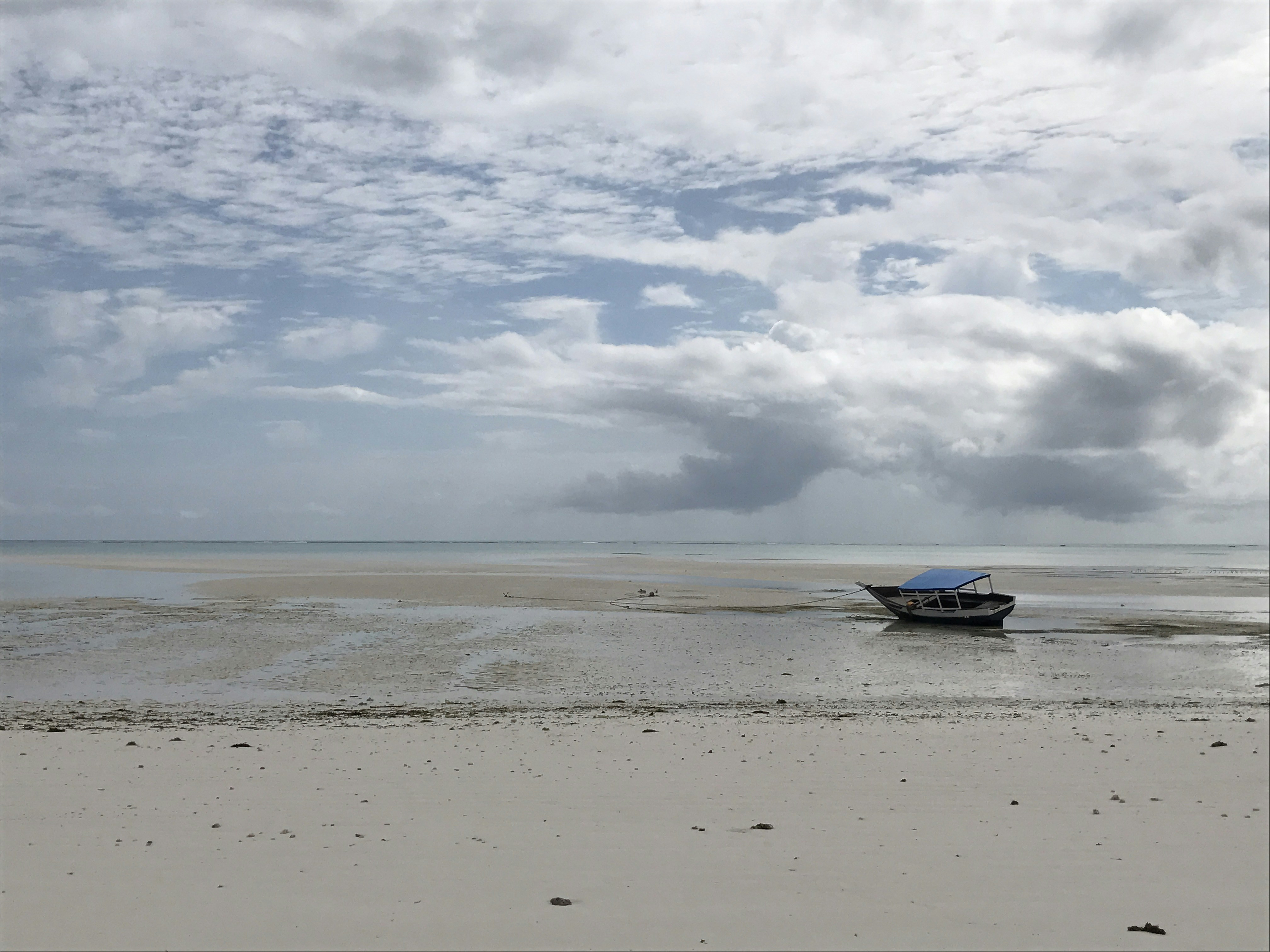 Free Unsplash photo from Christina Minderman