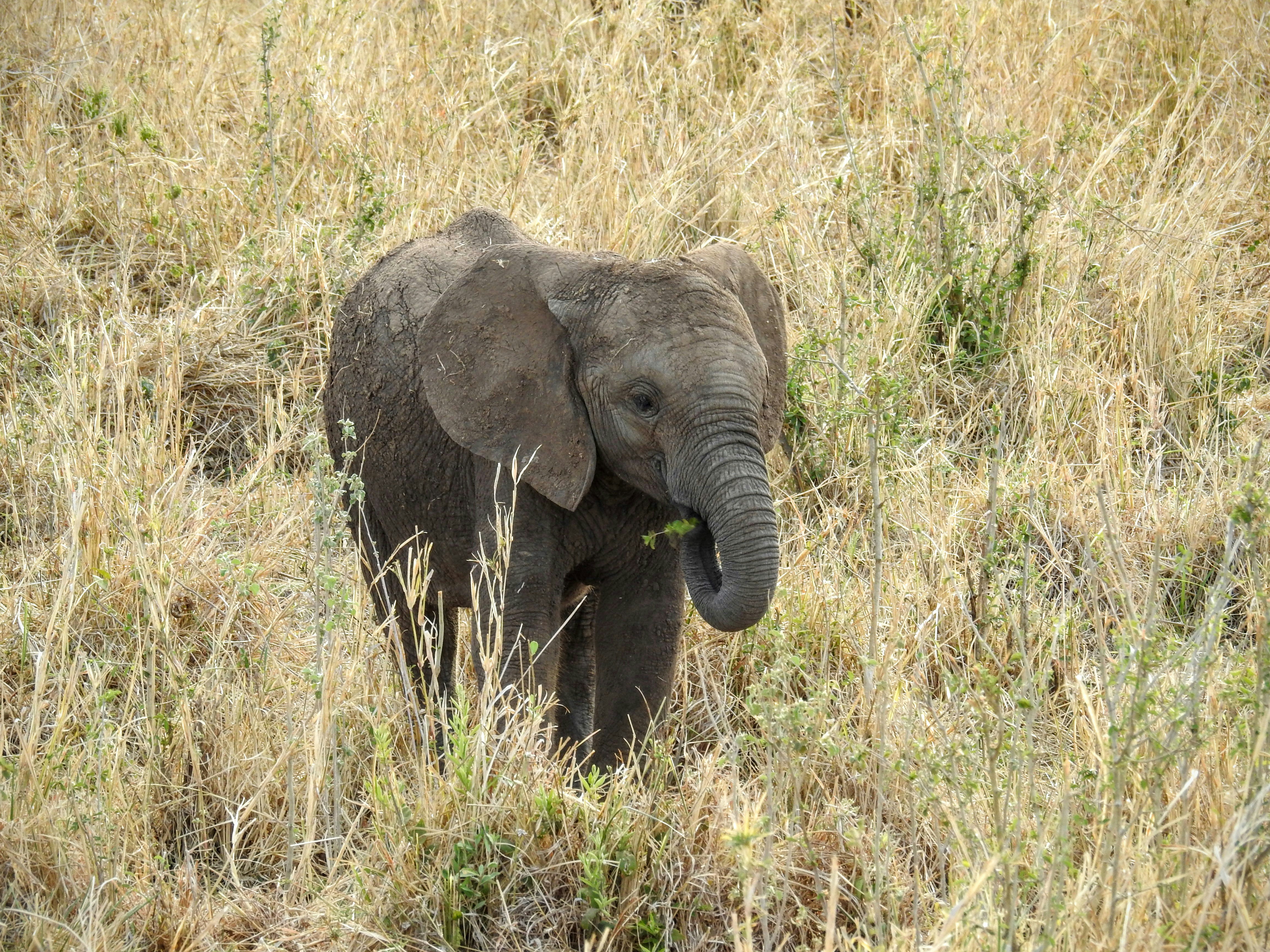 Free Unsplash photo from Christina Minderman