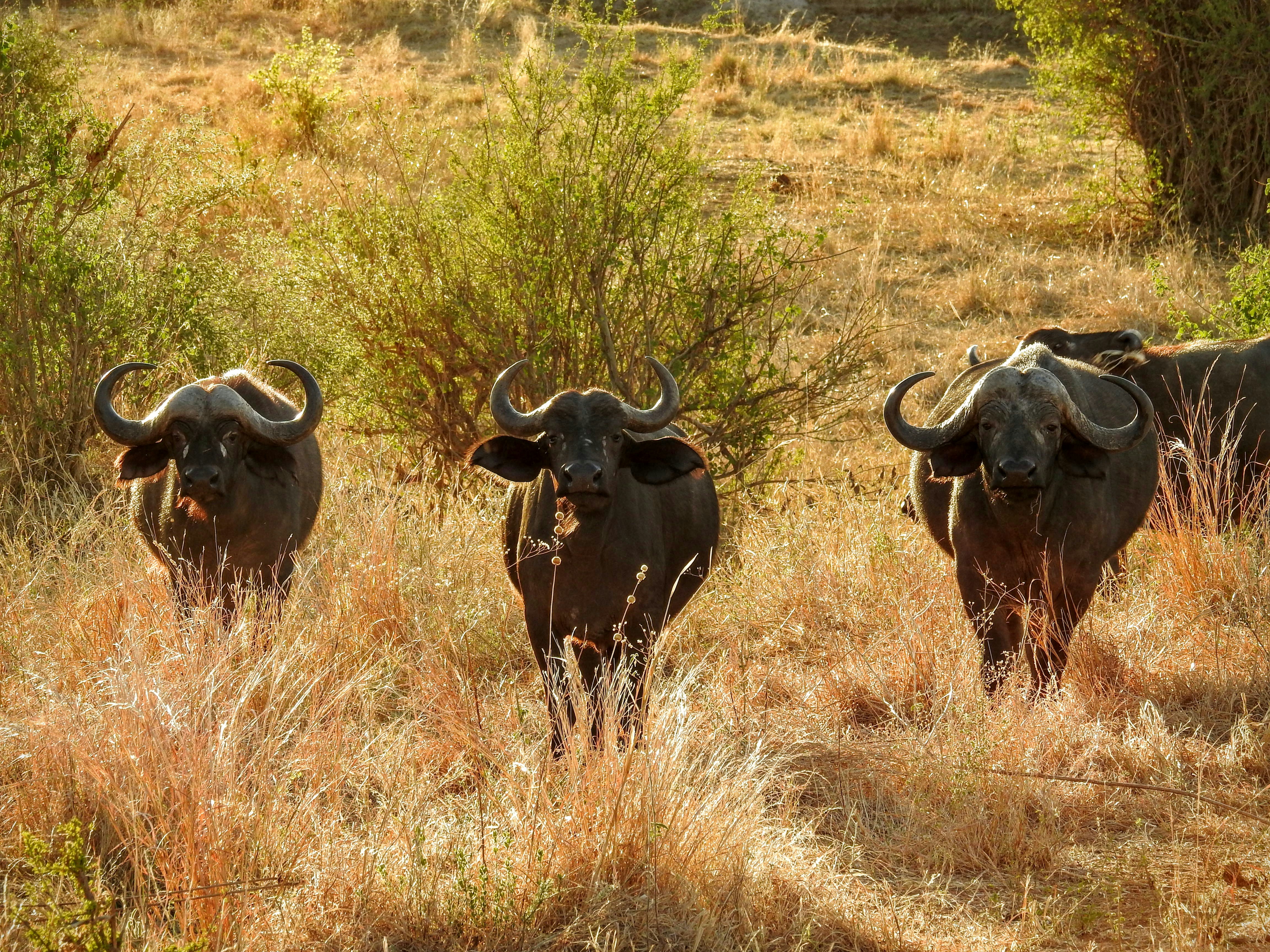 Free Unsplash photo from Christina Minderman