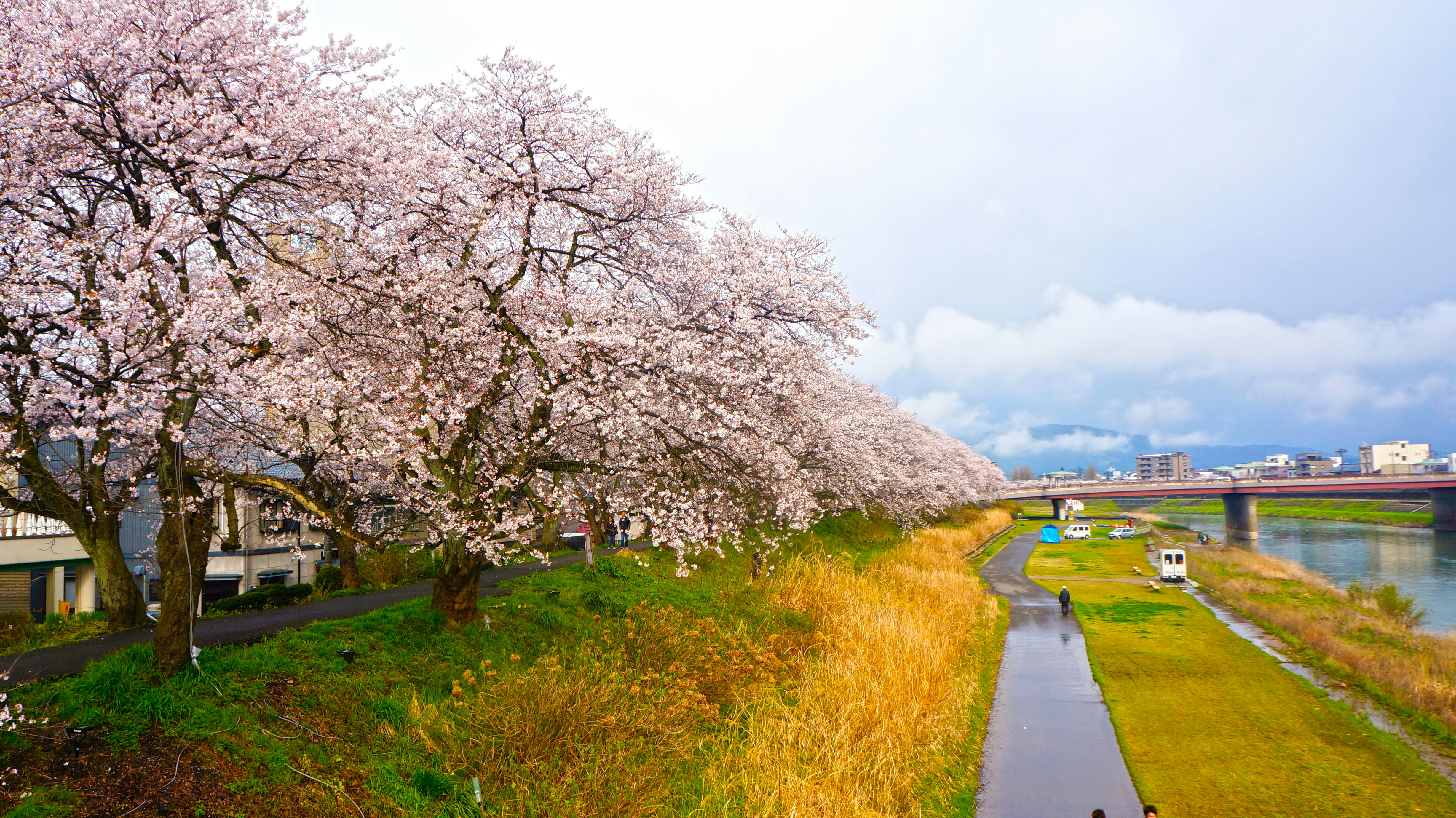 Free Unsplash photo from Riku Lu