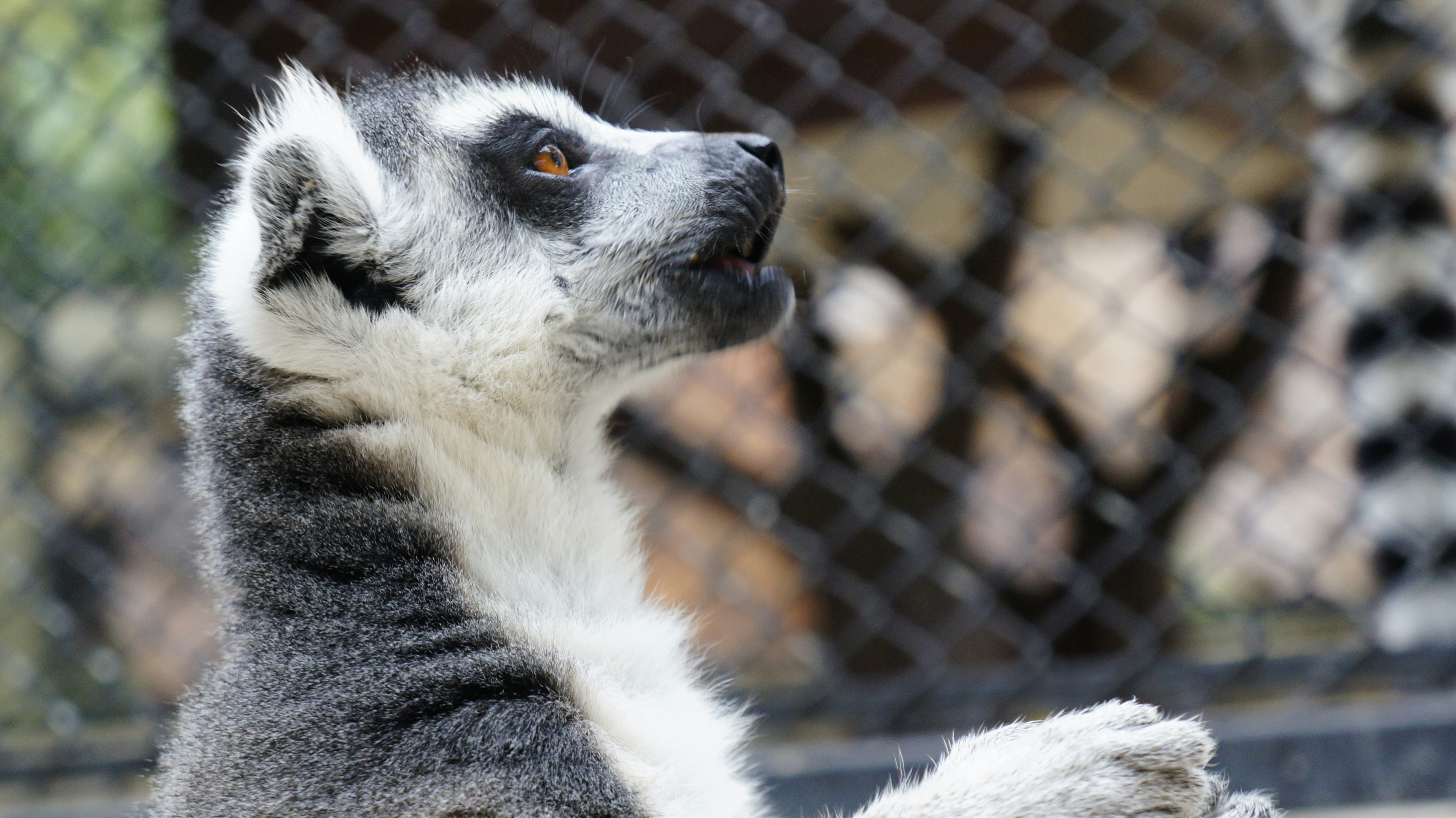 Free Unsplash photo from Riku Lu