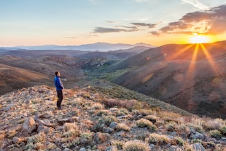 A serene outdoor scene with a person standing on a hilltop at sunrise, symbolizing new perspectives.