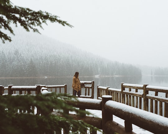 woman walking towards brown wooden bridge in Trillium Lake United States
