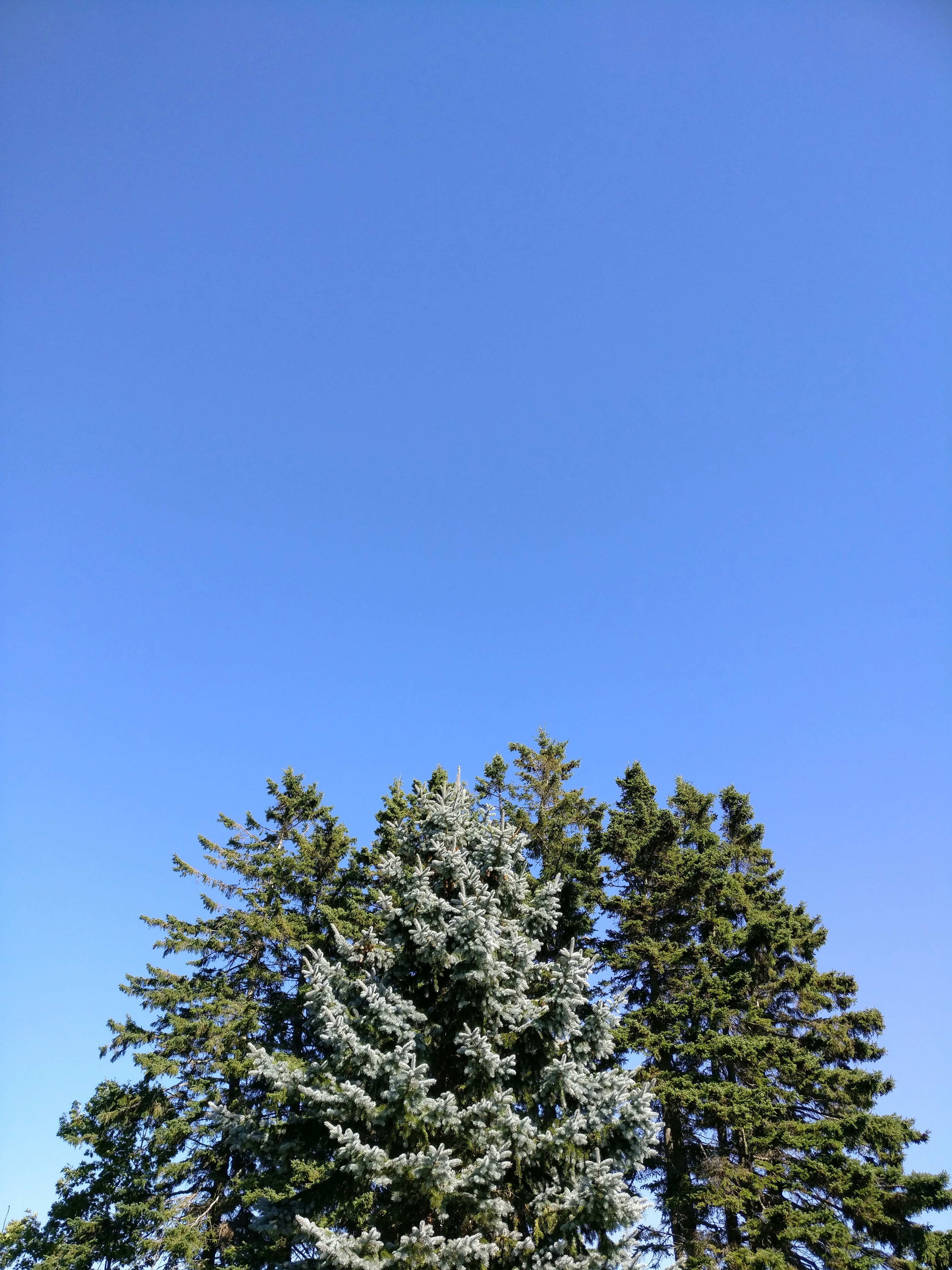 Free Unsplash photo from Elliot Yeo