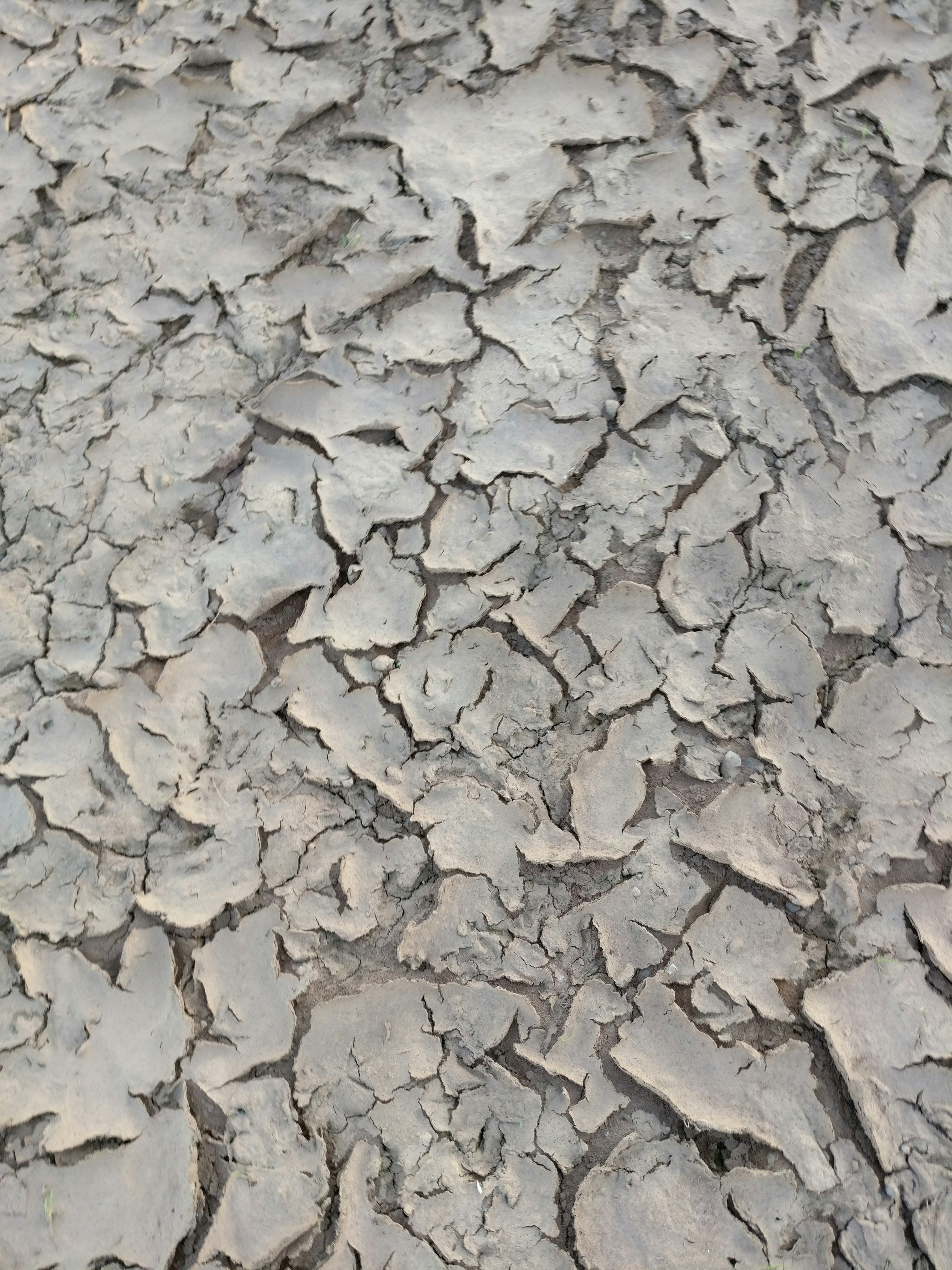 Free Unsplash photo from Elliot Yeo