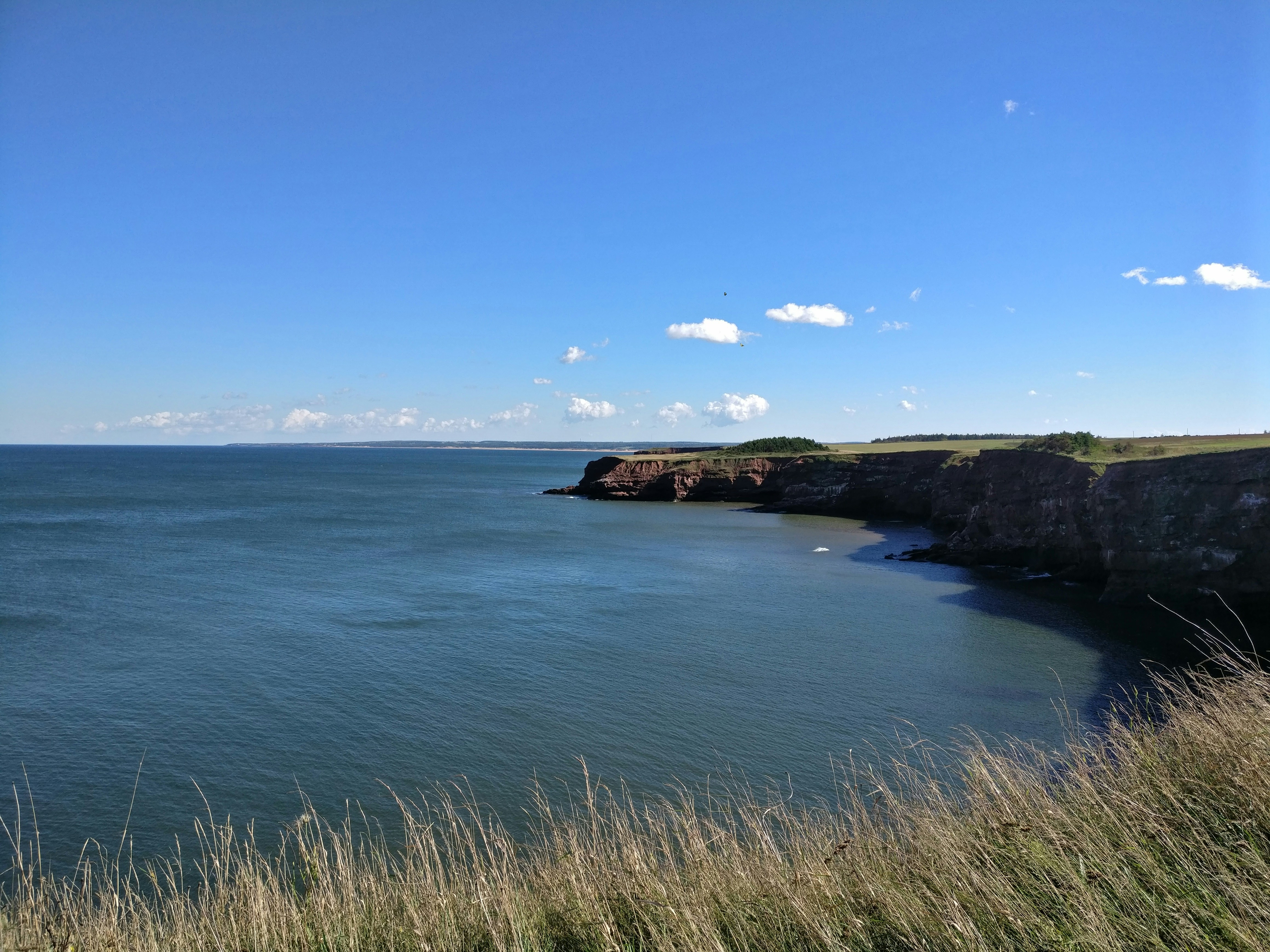 Free Unsplash photo from Elliot Yeo