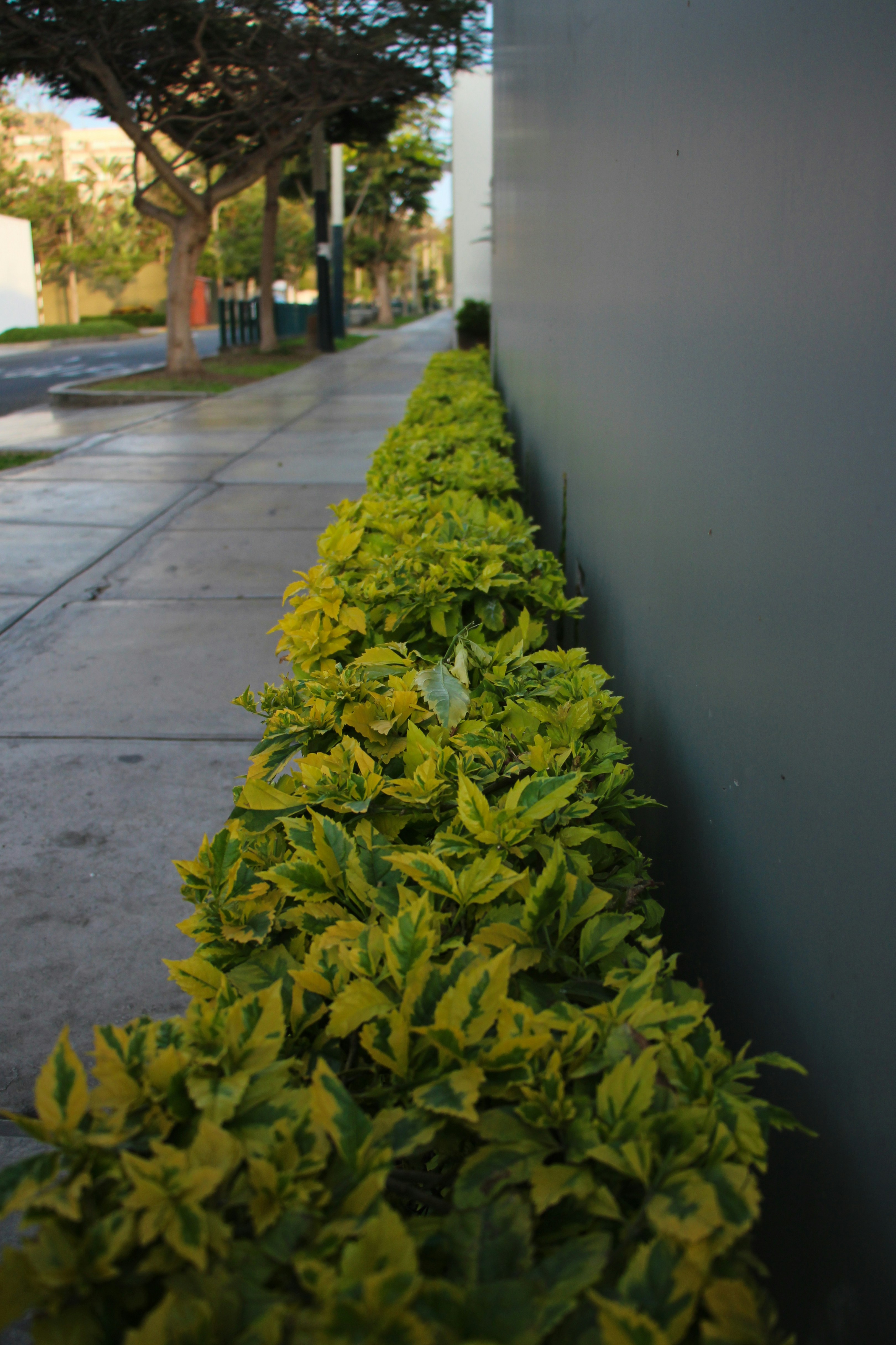 Free Unsplash photo from Gabriela  Rodríguez