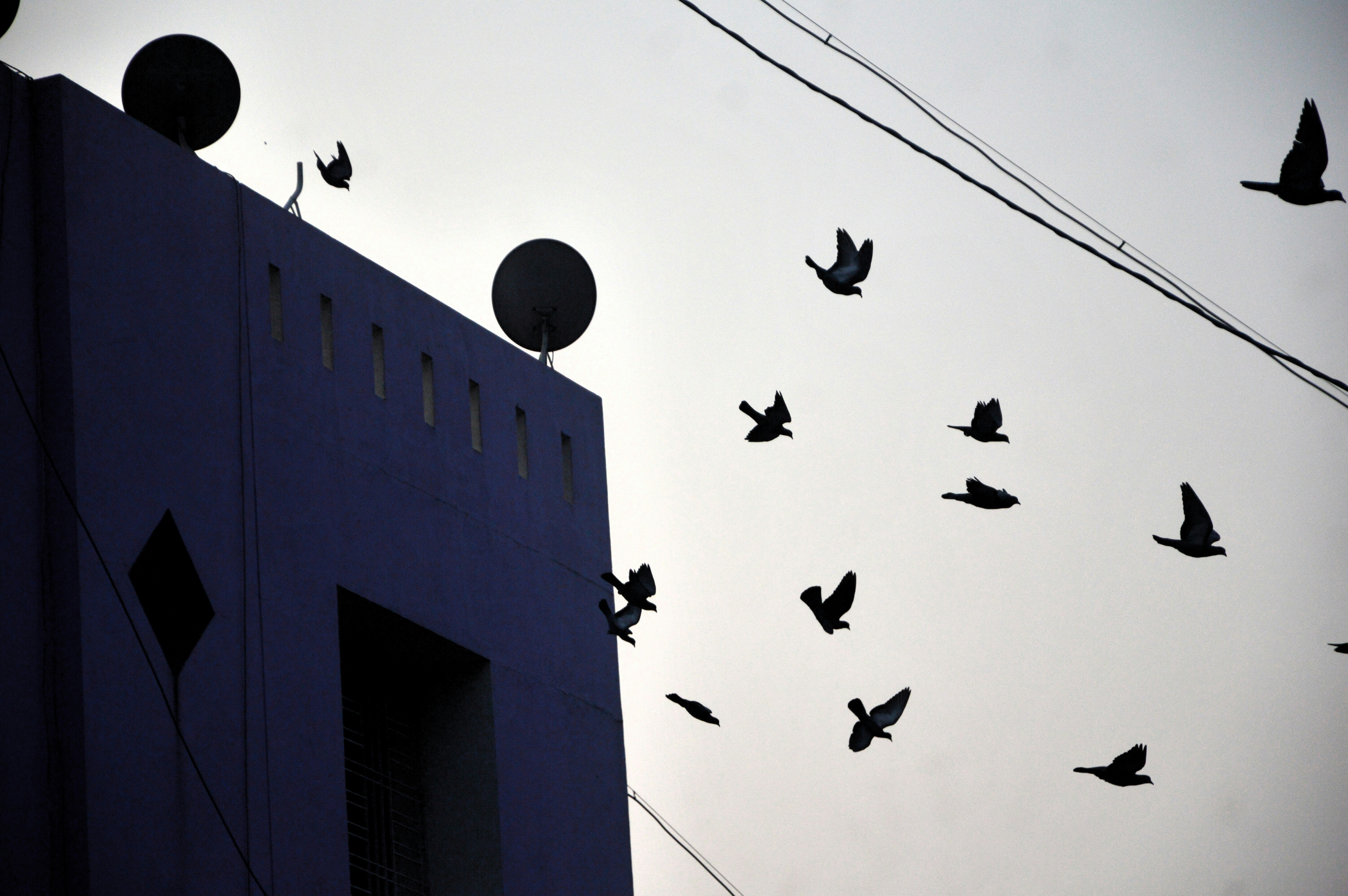 Free Unsplash photo from shelton estibeiro