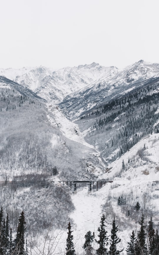 black bridge surrounded by mountain covered with snow under white sky in Denali National Park and Preserve United States