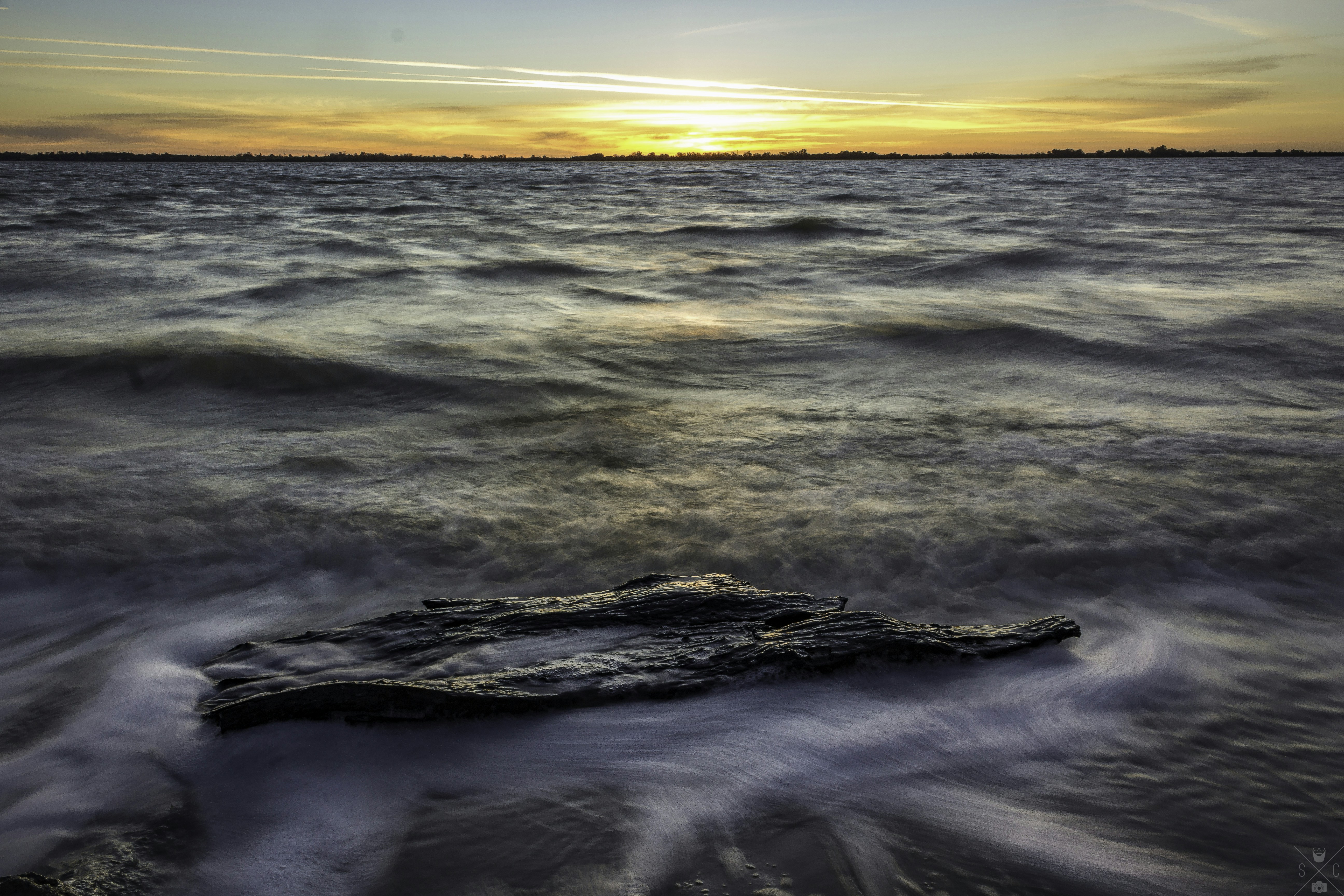 Free Unsplash photo from Steven Cook