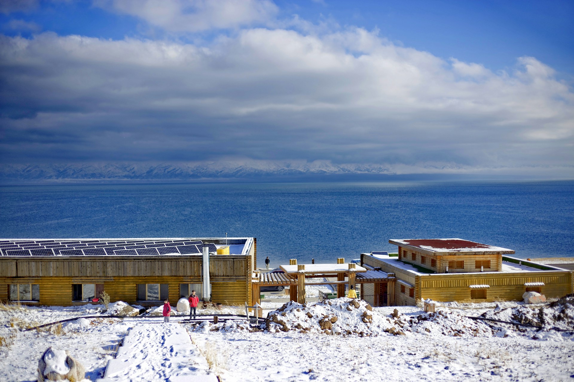 black and white bed linen