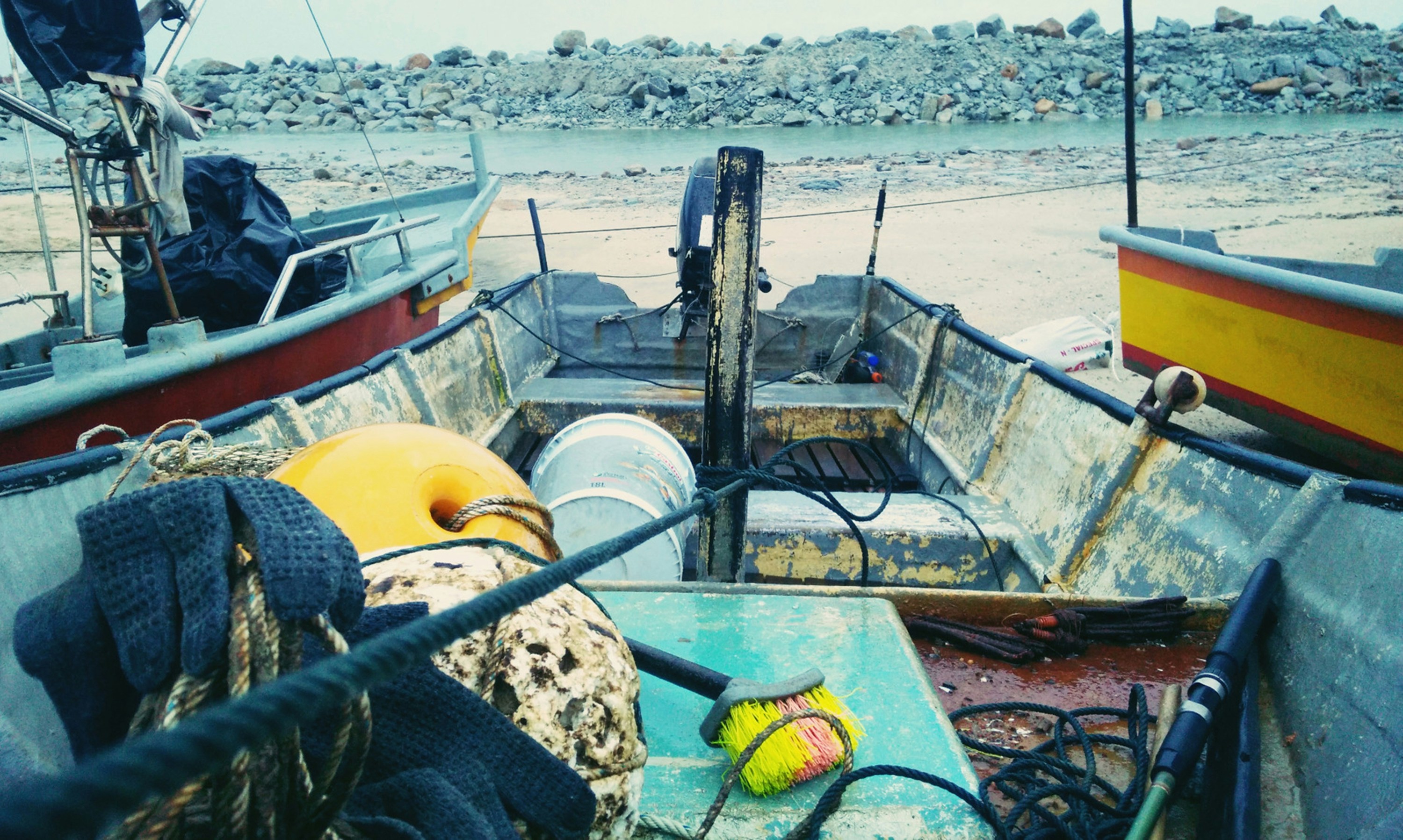 Free Unsplash photo from WM Asma Dinie