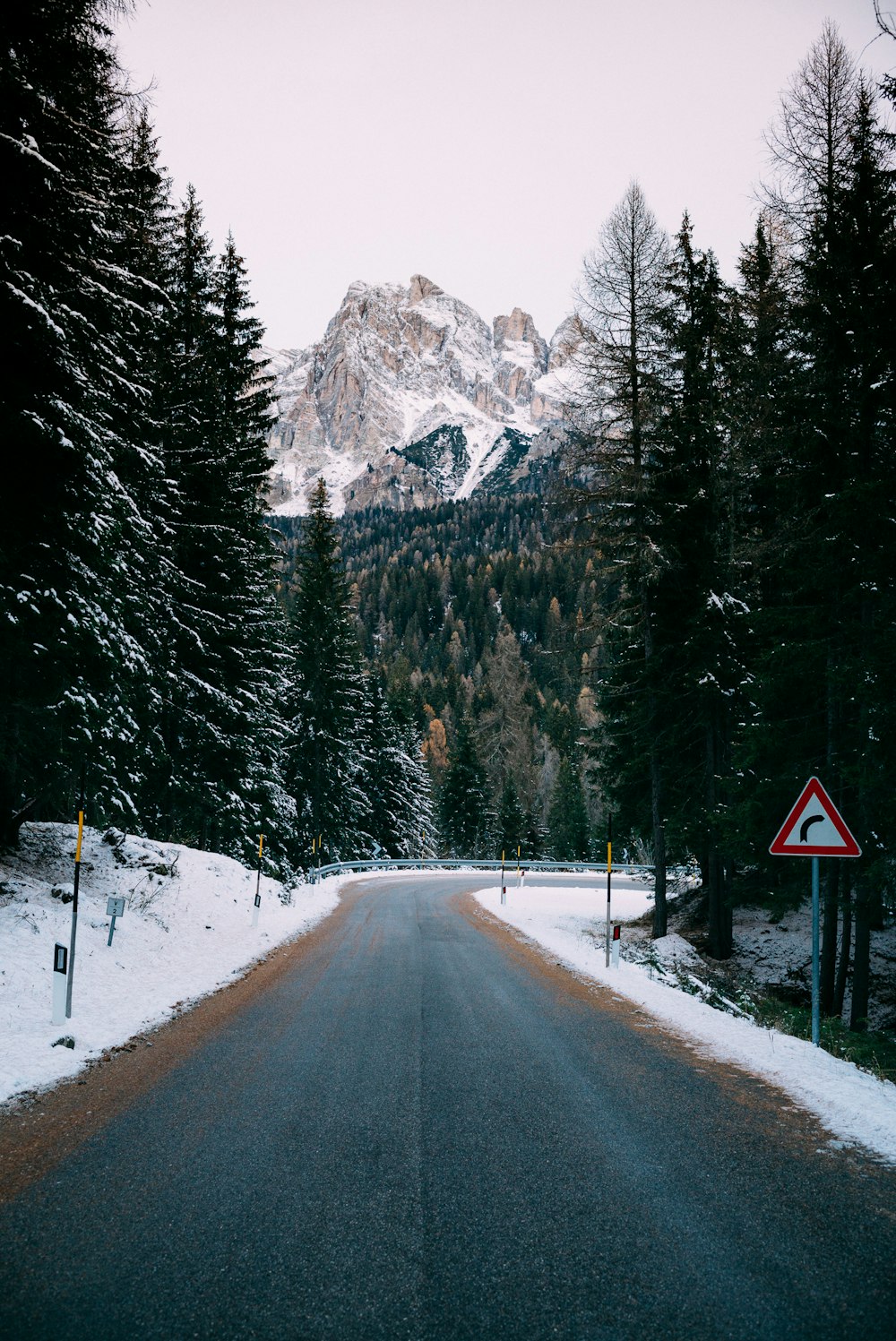 strada di cemento grigio tra gli alberi verdi durante il giorno