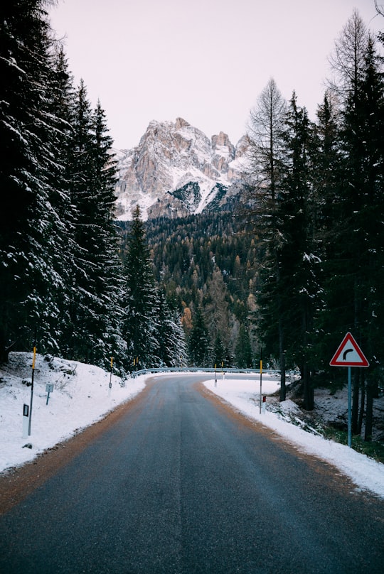 gray concrete road between green trees at daytime in Dolomites Italy