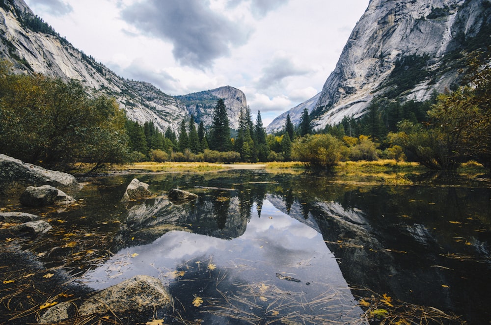 body of water near trees and mountain at daytime