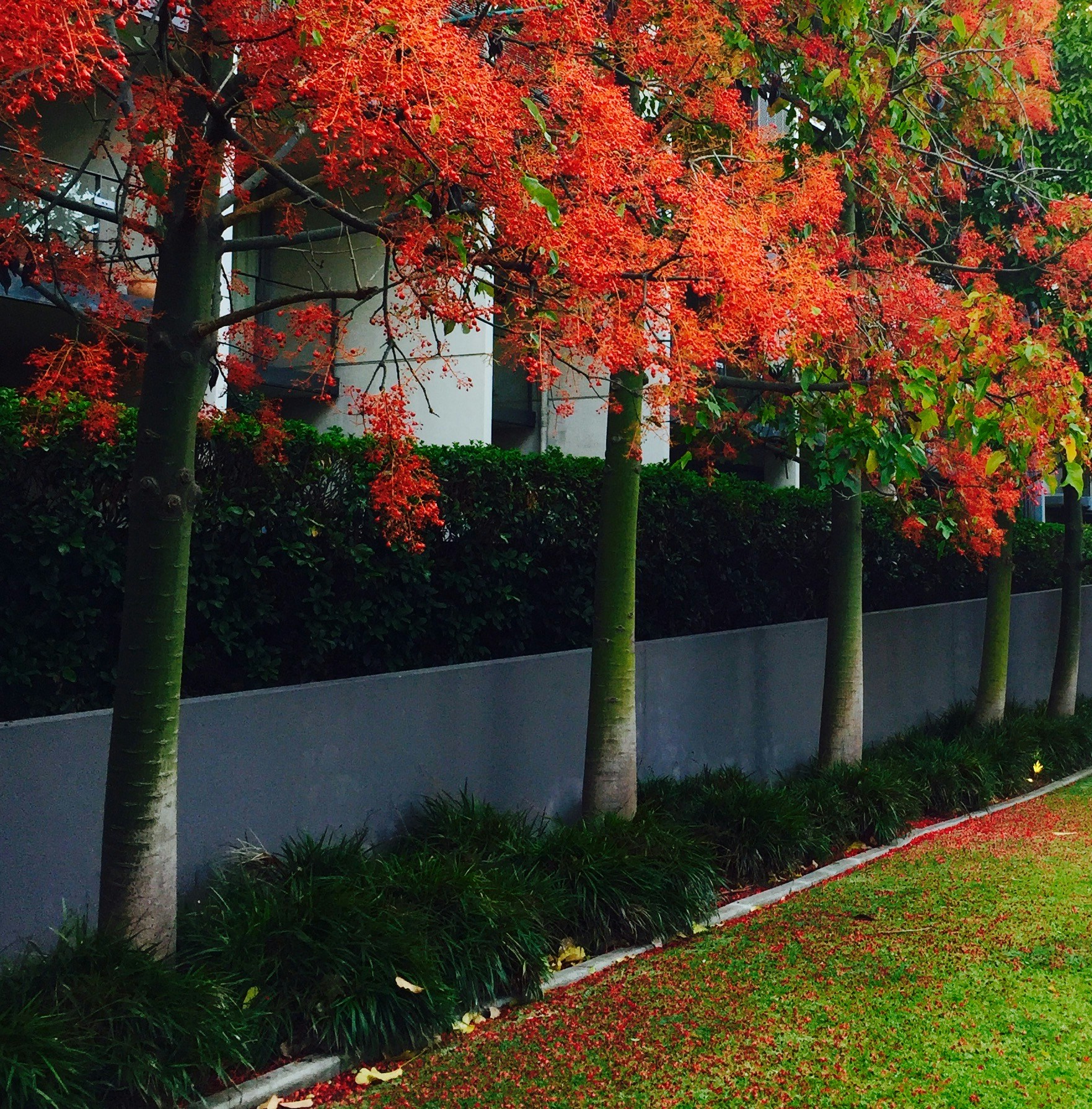 Free Unsplash photo from Tony ONeill