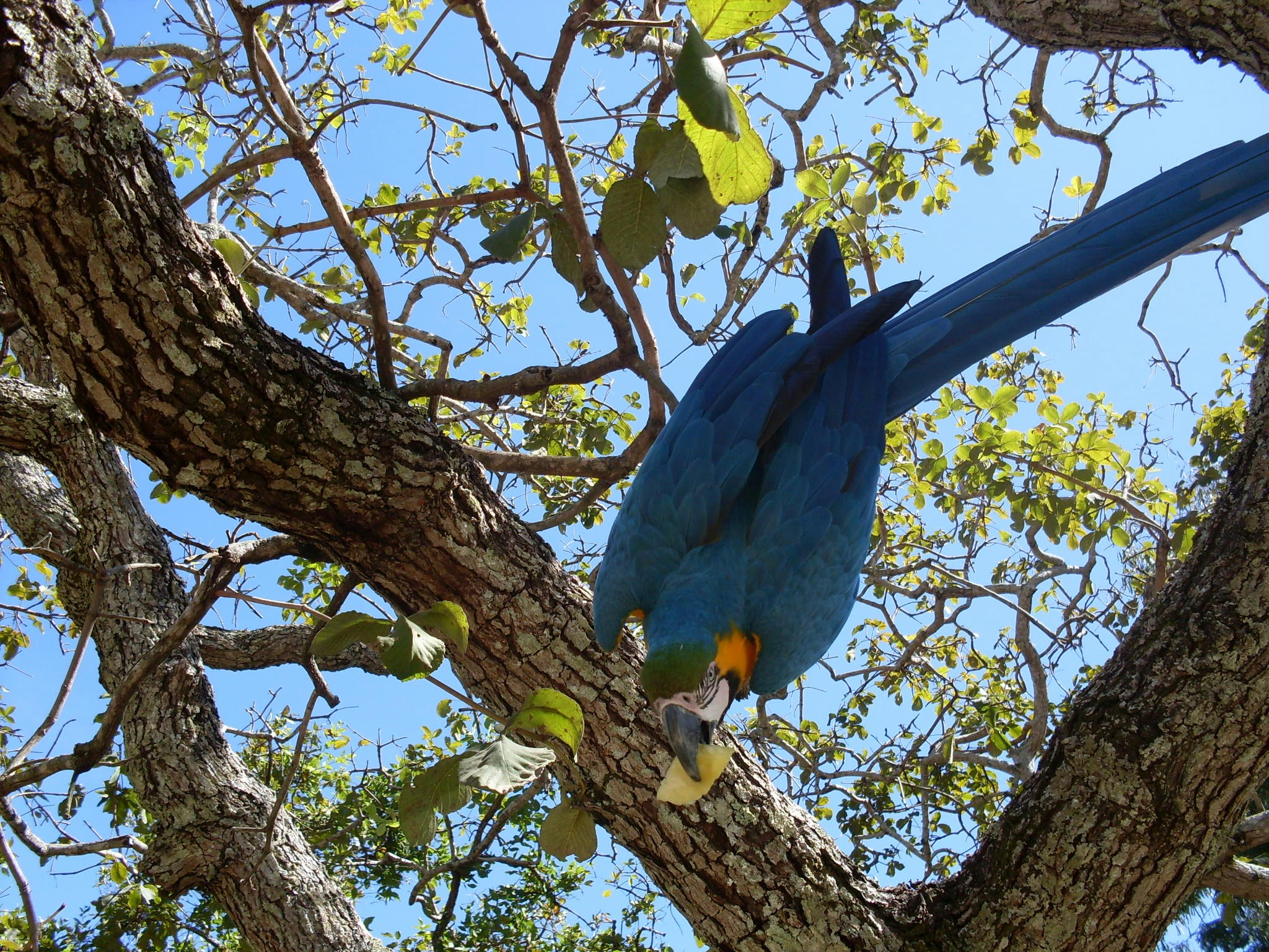 Free Unsplash photo from FERNANDO LATINI