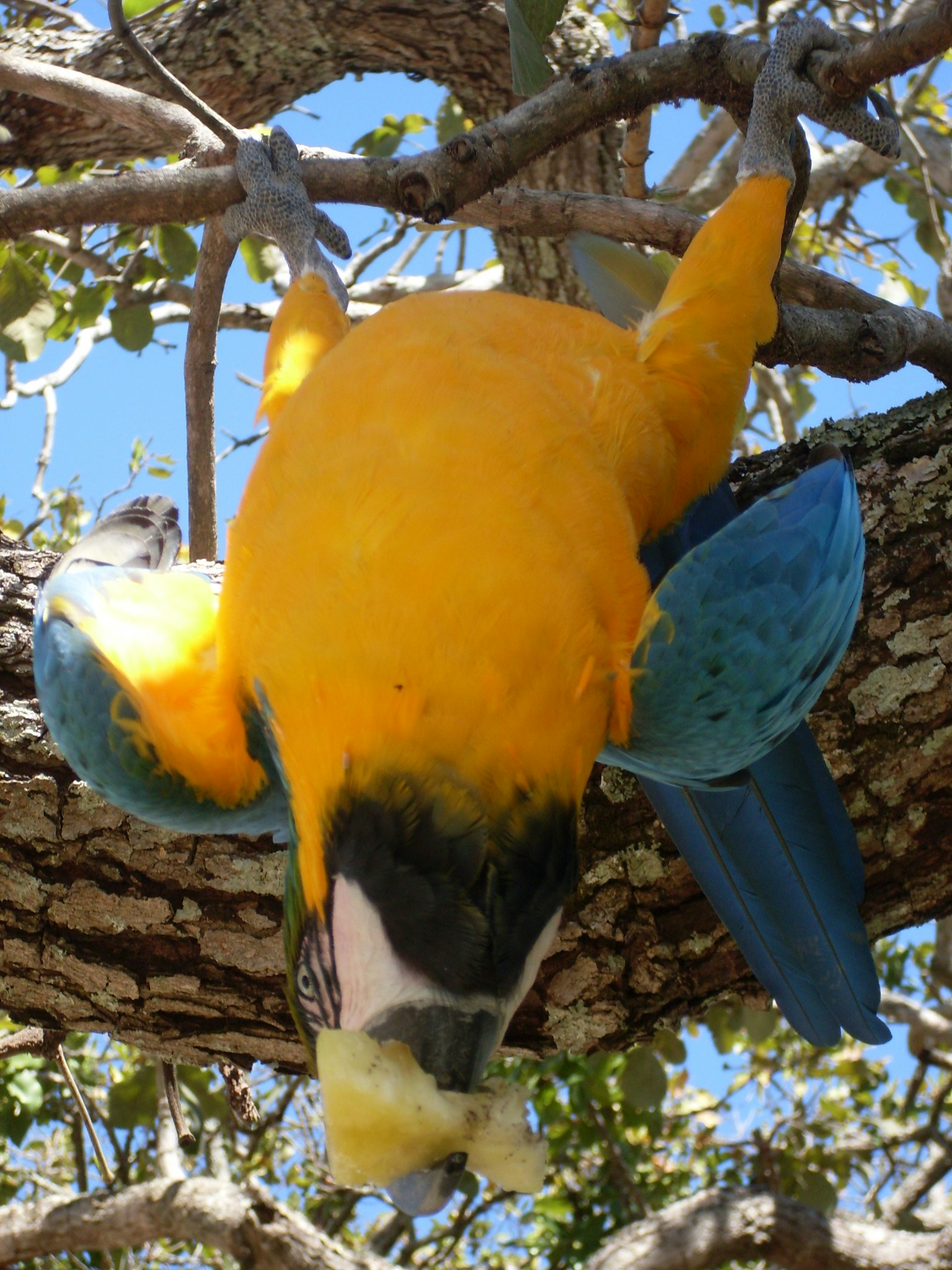 Free Unsplash photo from FERNANDO LATINI