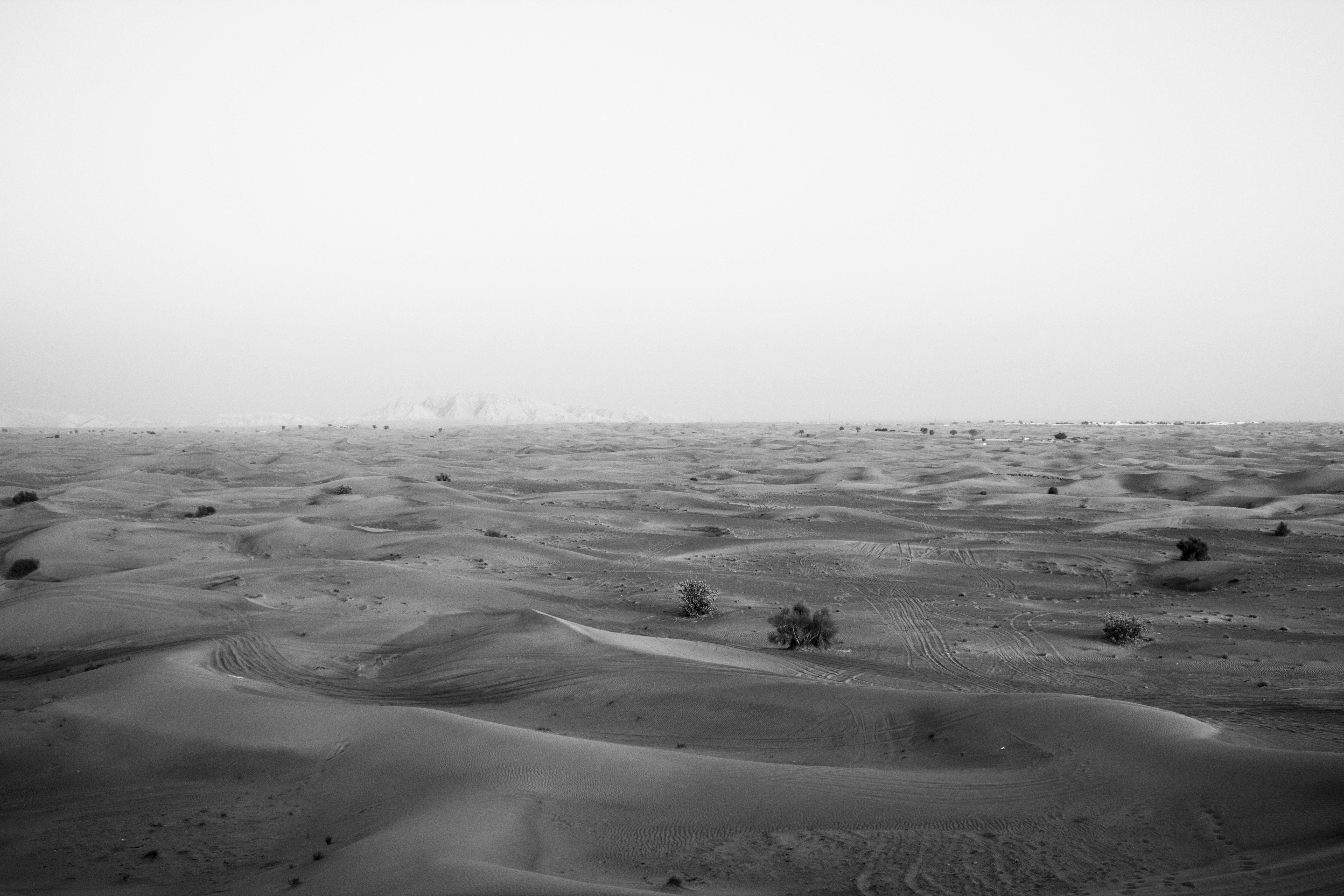 Free Unsplash photo from Roman Mostitsky