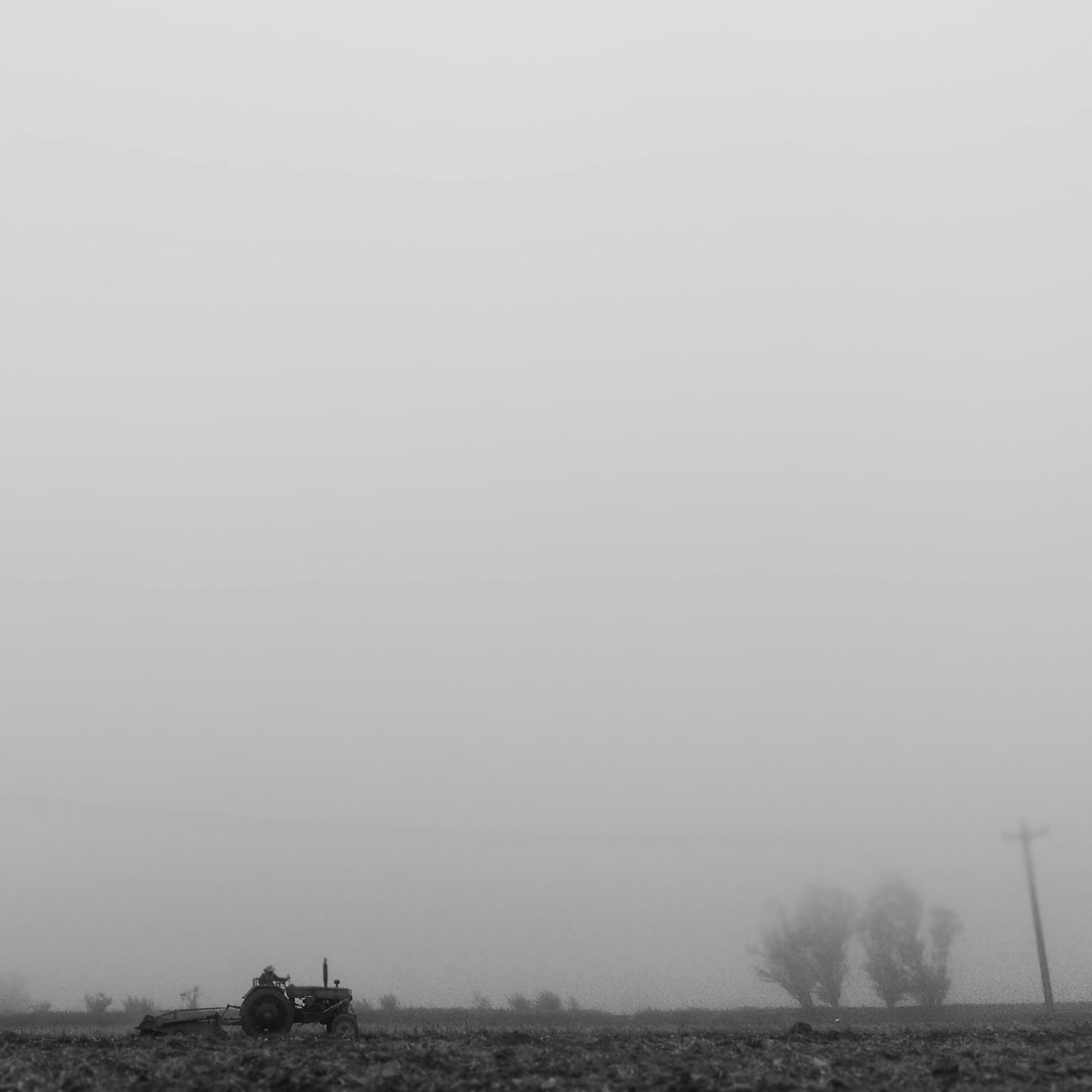 Free Unsplash photo from Esmail Ghanizadeh