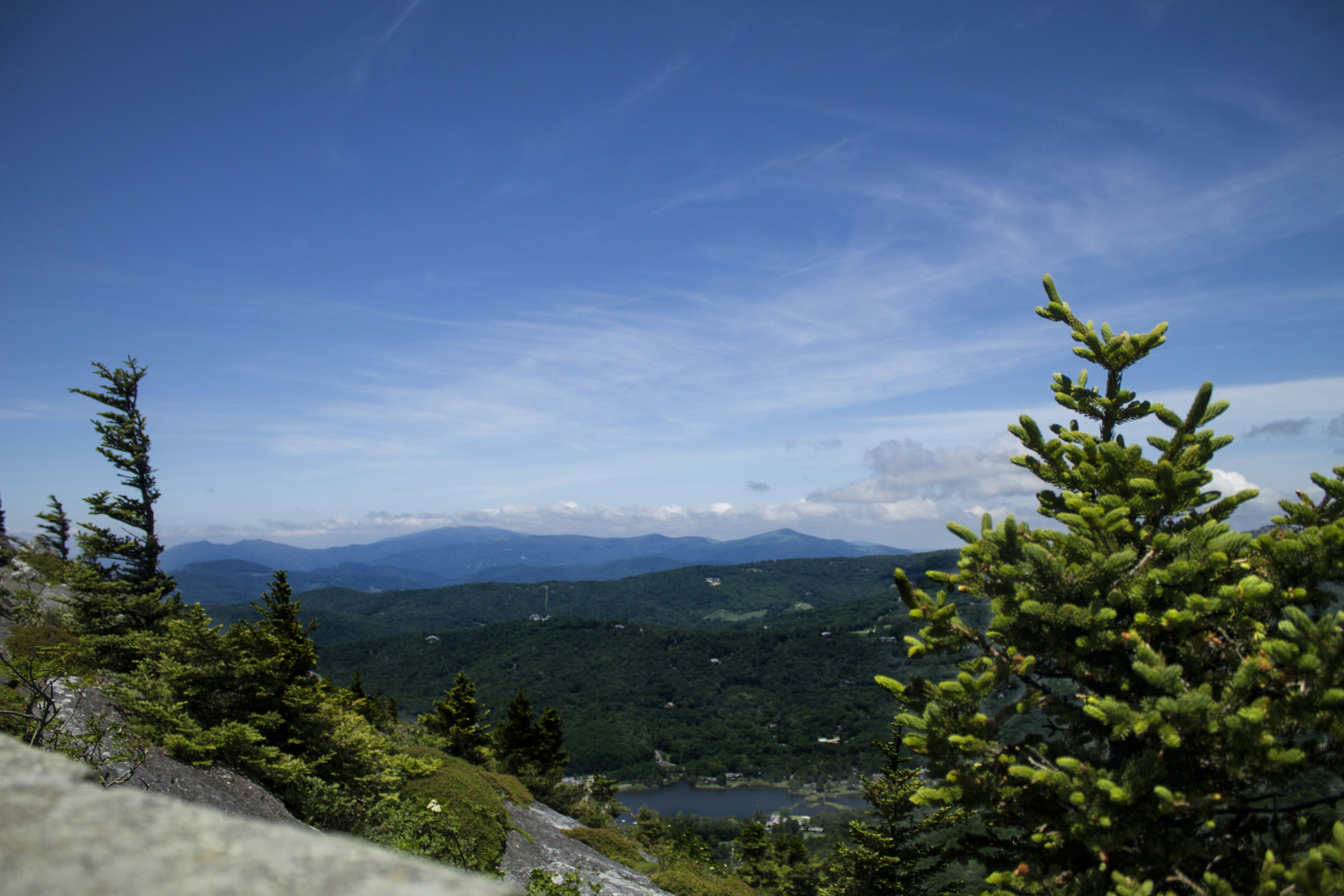 Free Unsplash photo from Maddie Zatkulak