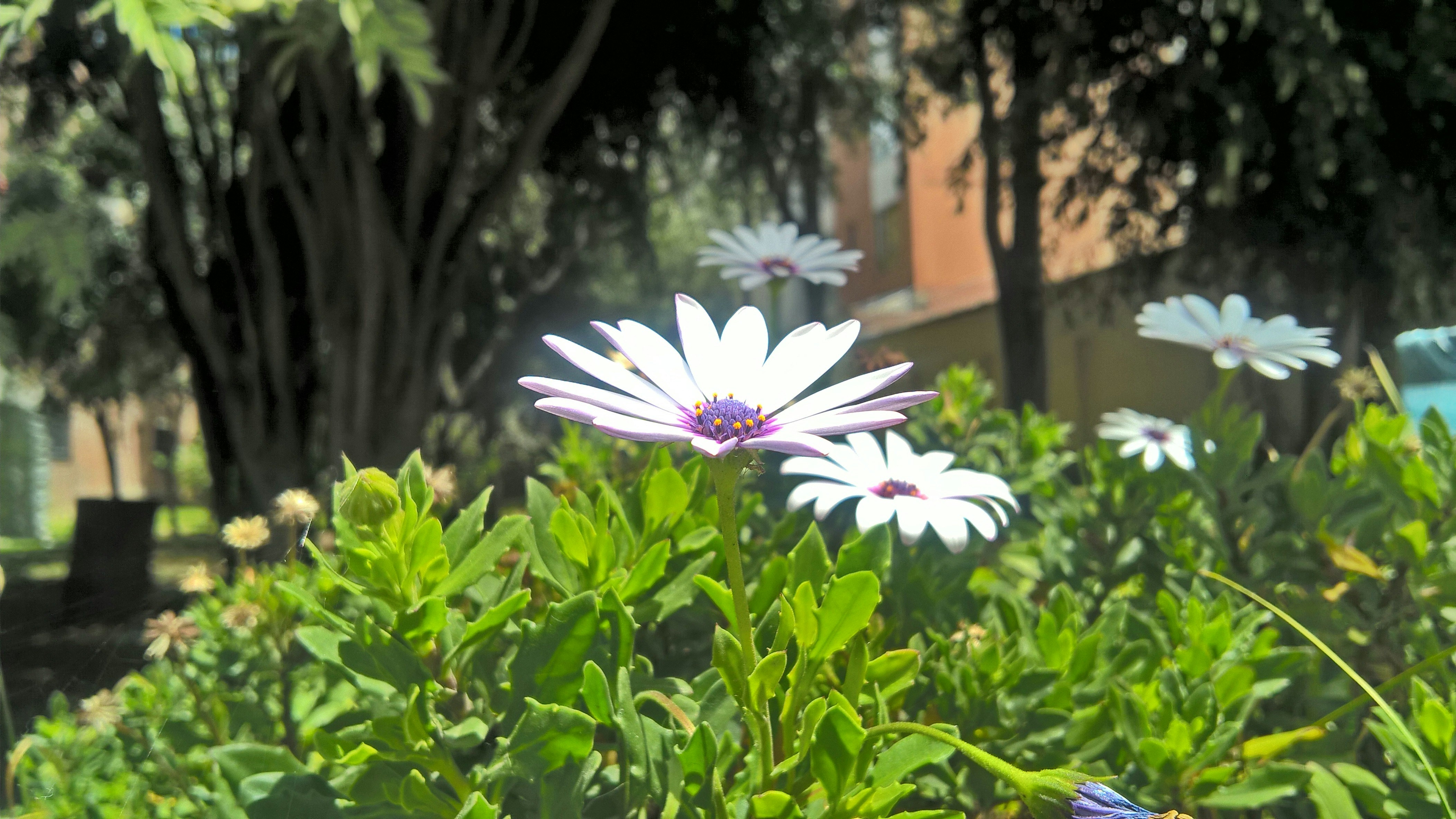 Free Unsplash photo from Alan Alarcon