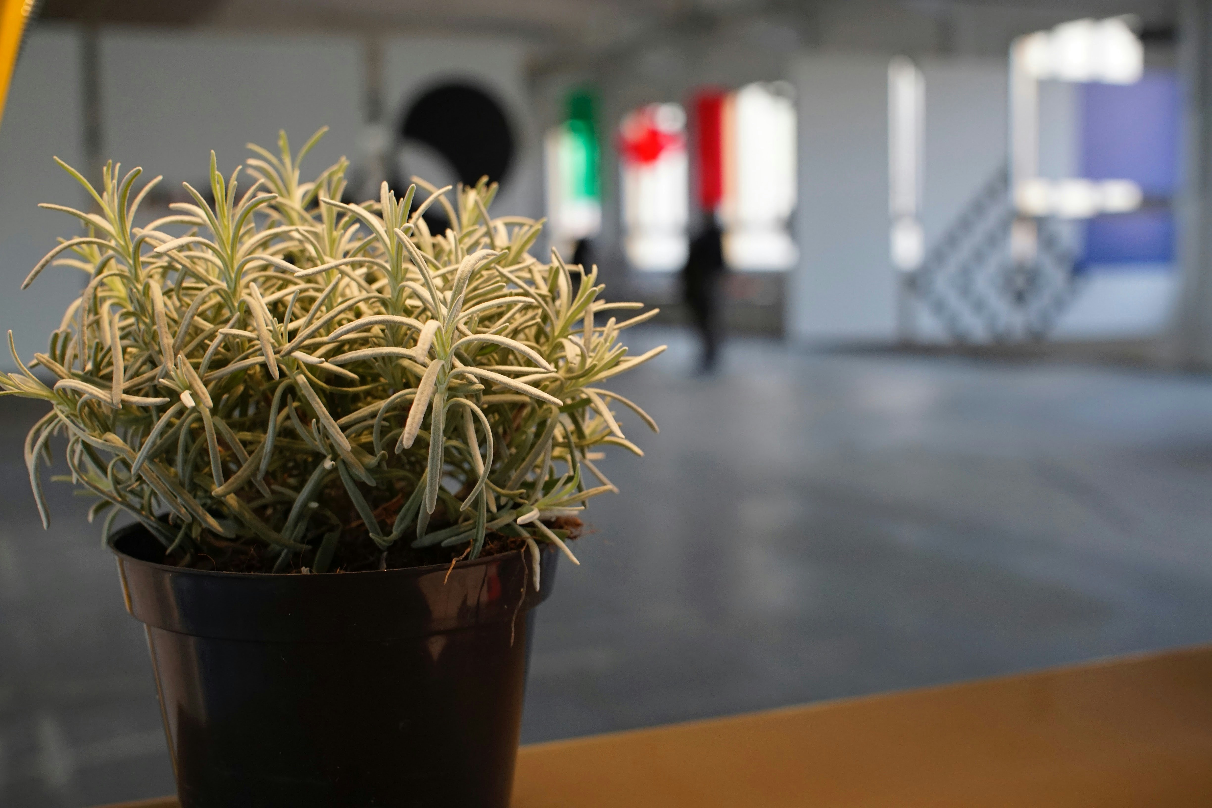 Free Unsplash photo from Riccardo Greg