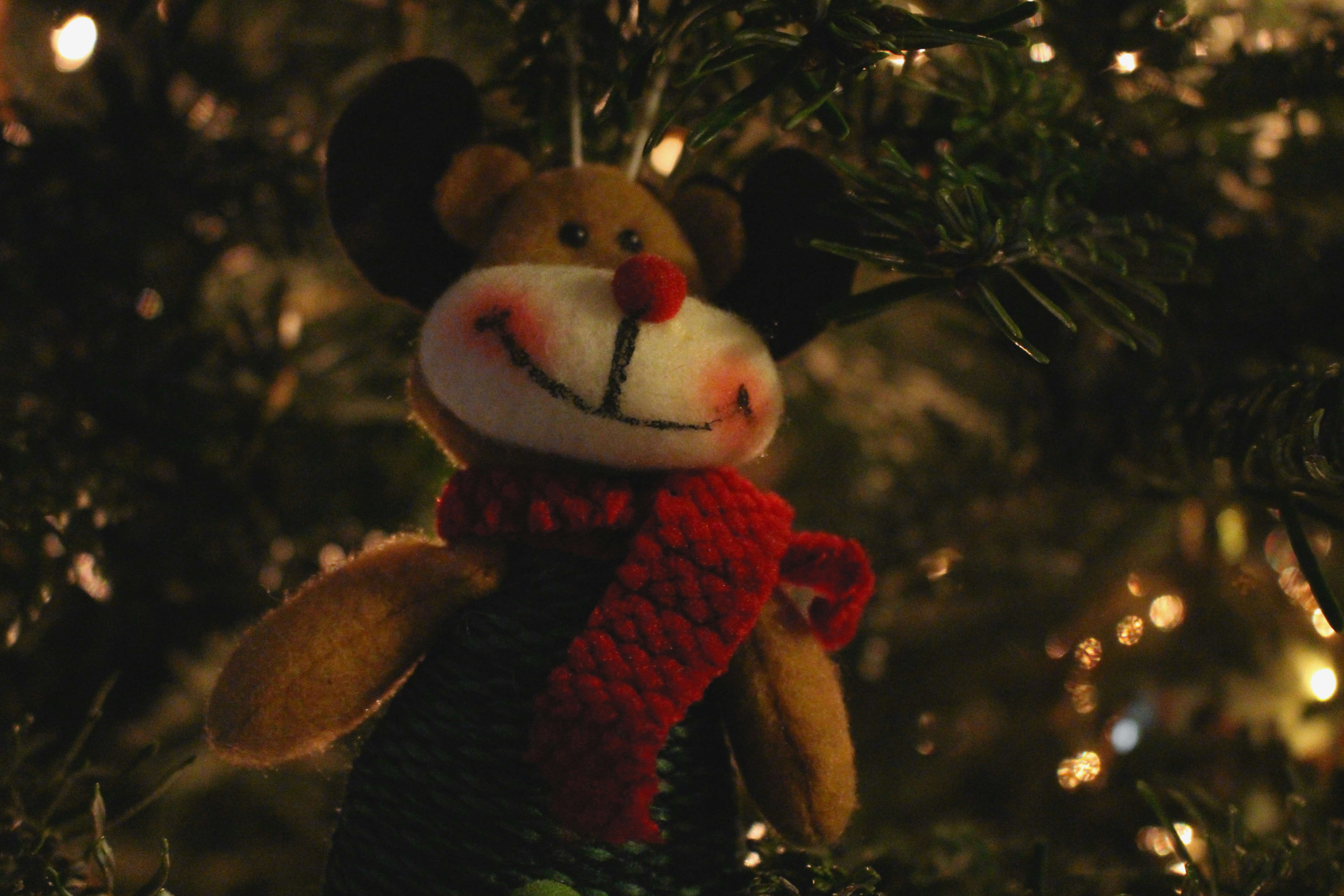 Free Unsplash photo from Ruth Ochoa