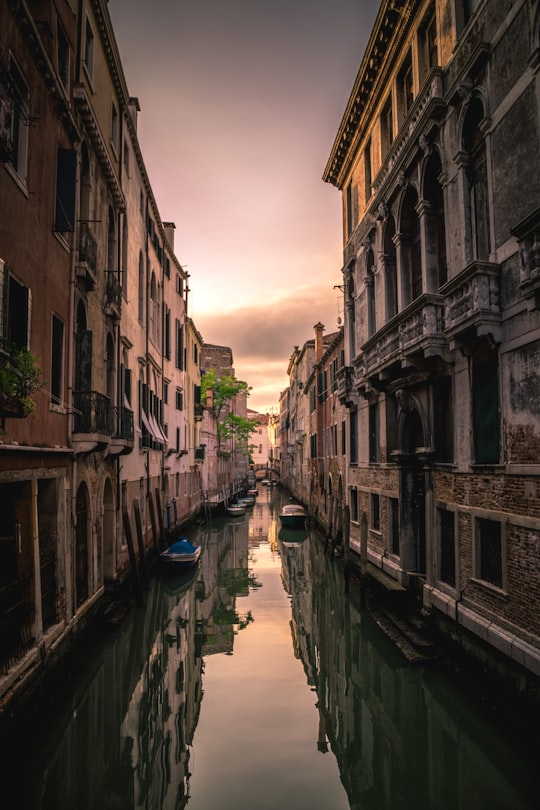 photo of Venise Town near Palazzo Dario