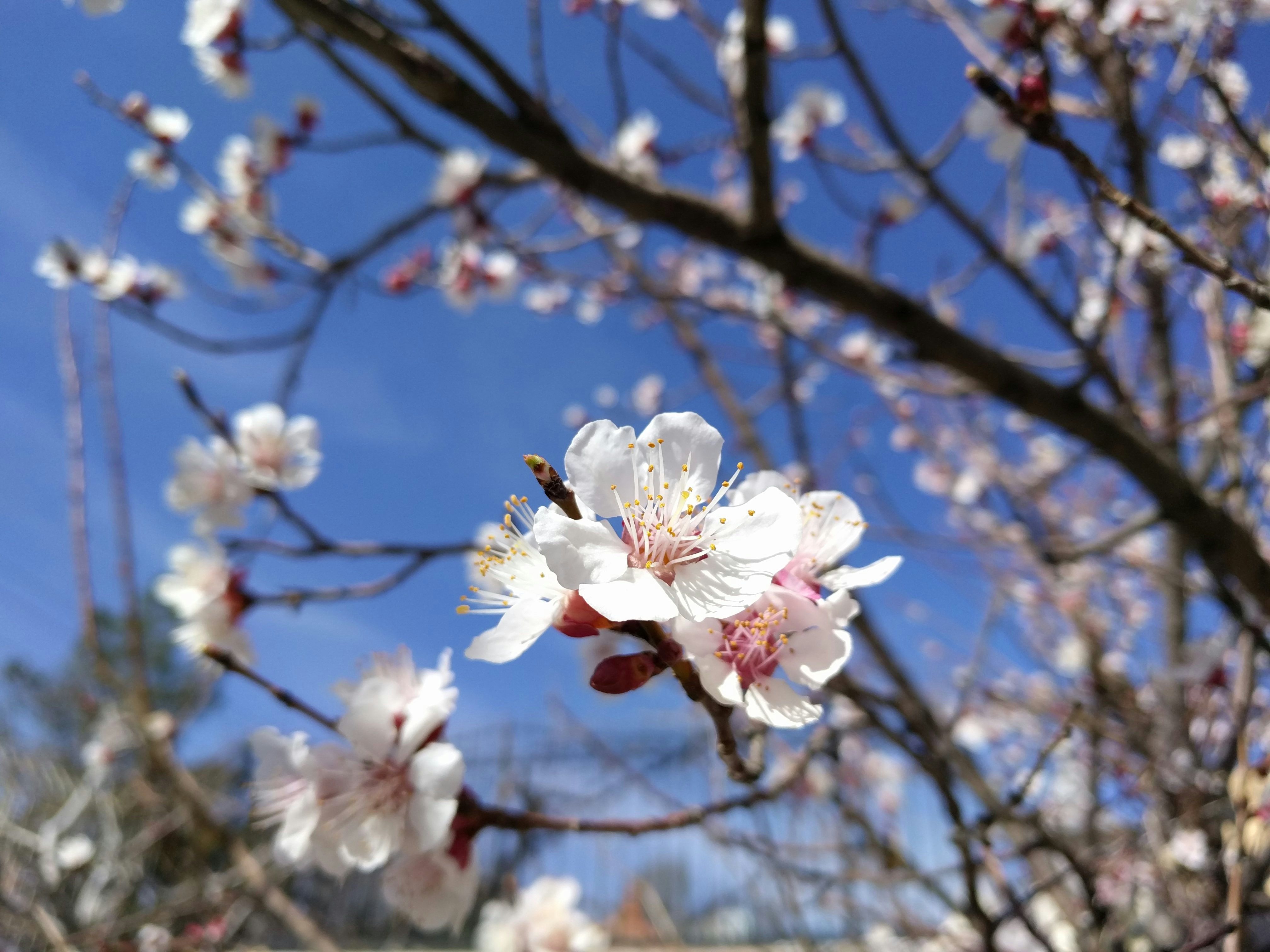 Free Unsplash photo from Mohammadreza Shahmohammadi