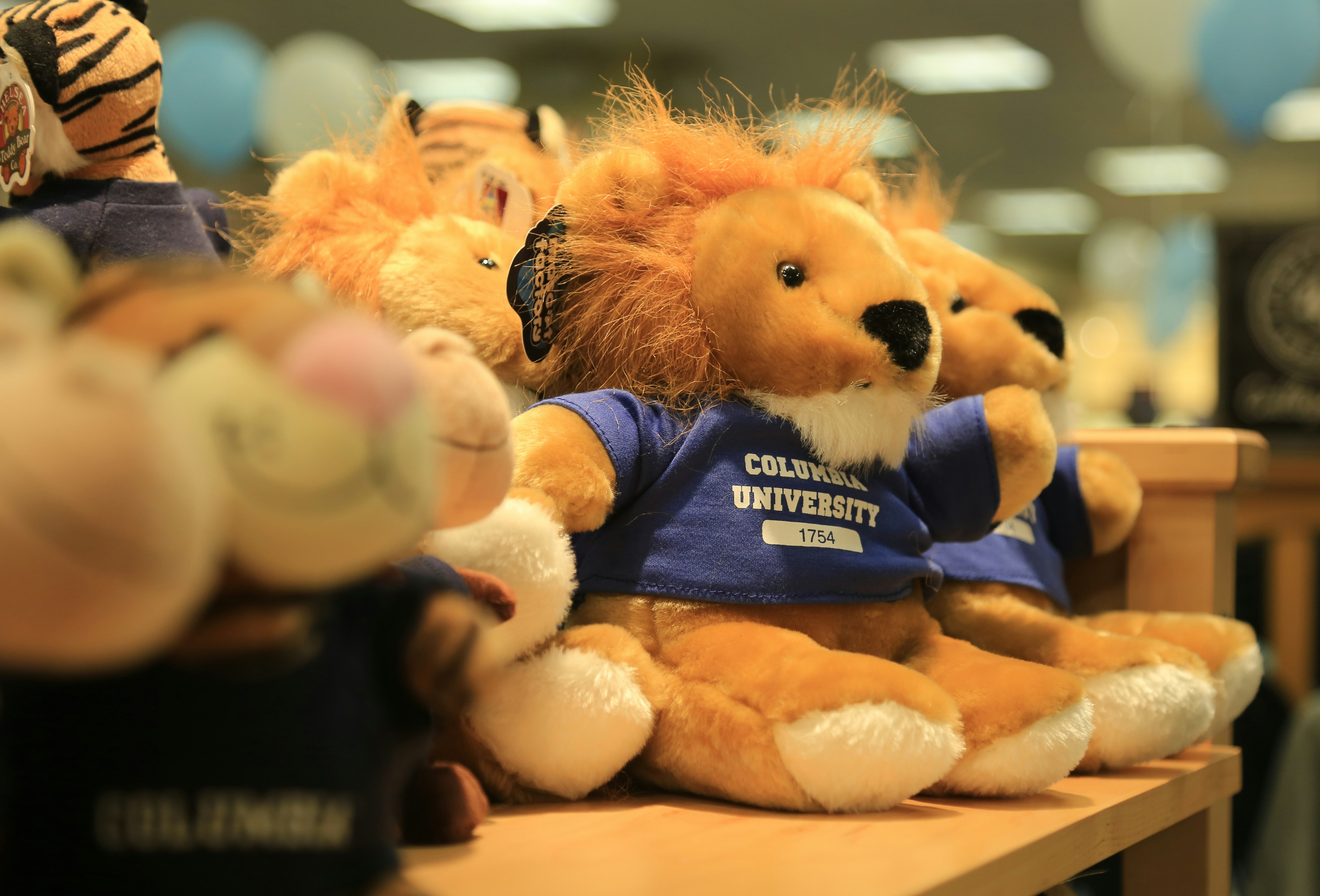 Free Unsplash photo from YUNXI SHI