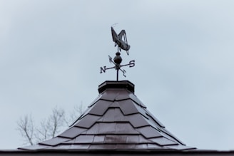 A rooftop with a weather vane shaped like a grasshopper against a cloudy sky. The vane has cardinal directions marked as N, S, E, and W.