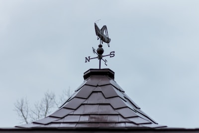A rooftop with a weather vane shaped like a grasshopper against a cloudy sky. The vane has cardinal directions marked as N, S, E, and W.