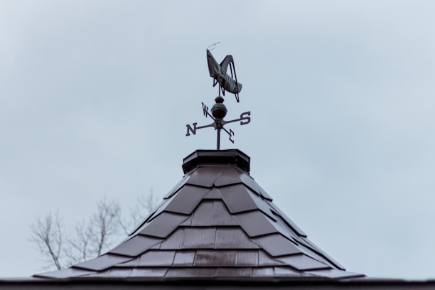 A rooftop with a weather vane shaped like a grasshopper against a cloudy sky. The vane has cardinal directions marked as N, S, E, and W.