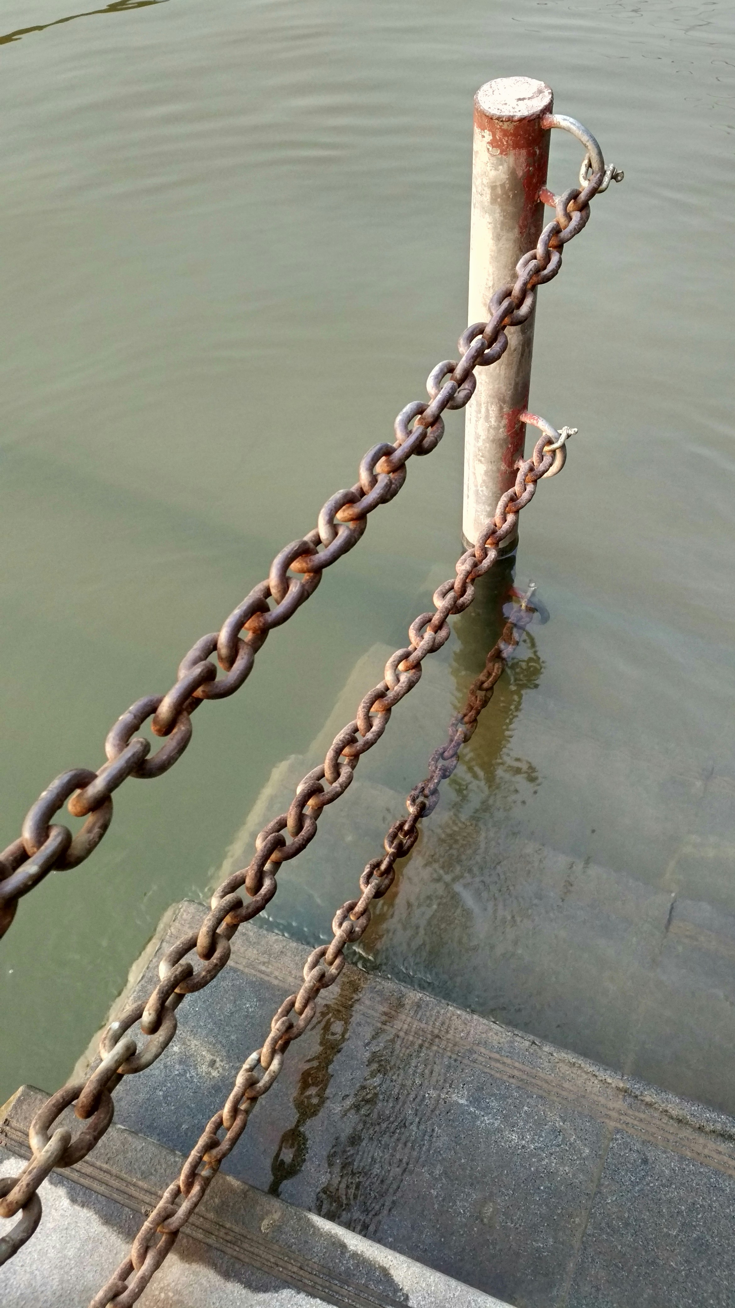 Free Unsplash photo from DIMON VIC